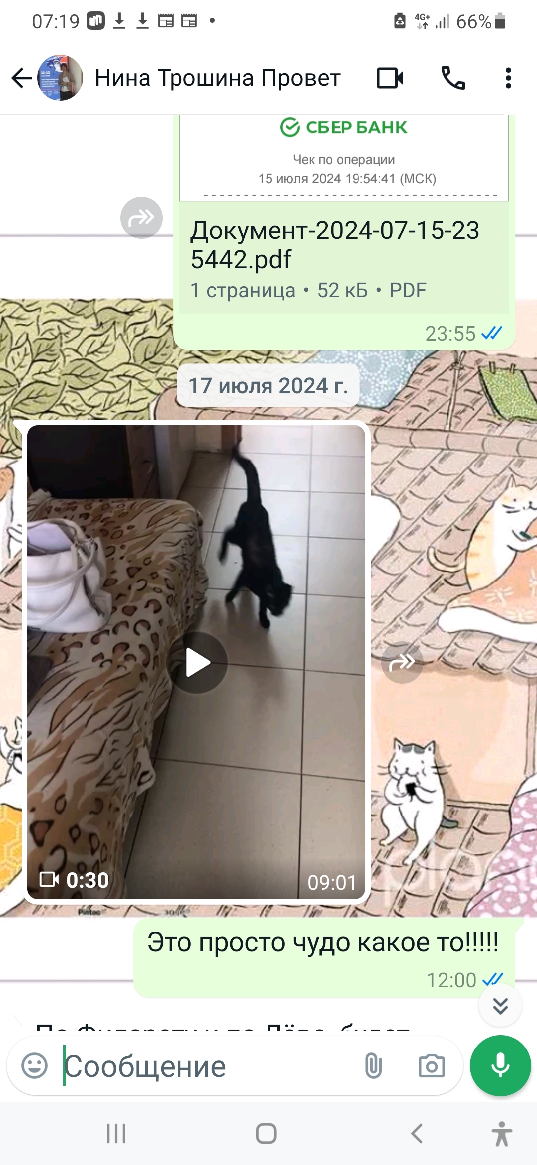 Continuation of the post “Paralyzed cat. Thrown under the door... - My, Krasnoyarsk, Abandoned, The rescue, Black cat, cat, Paralysis, Nervous system, Vet clinic, Animal shelter, Helping animals, Video, Vertical video, Soundless, Longpost