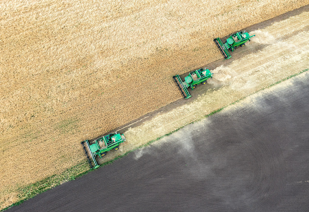 Strada - My, Cleaning, Harvesting equipment, Combine harvester, Field, Wheat, Сельское хозяйство, View from above, The photo