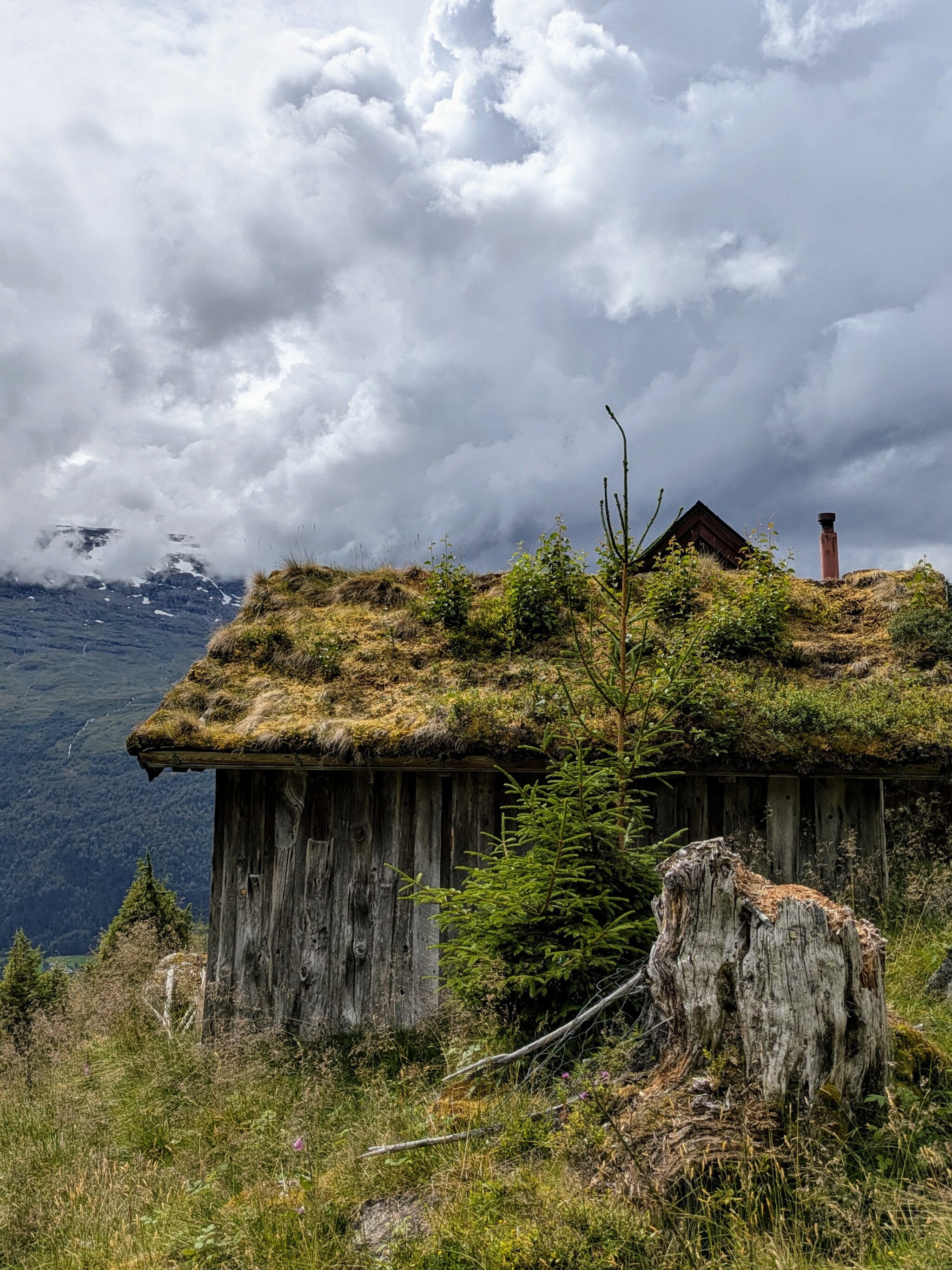 Westland is the most beautiful part of Norway. Part 3 - My, Norway, The mountains, Vacation, Travels, Longpost, Fjords