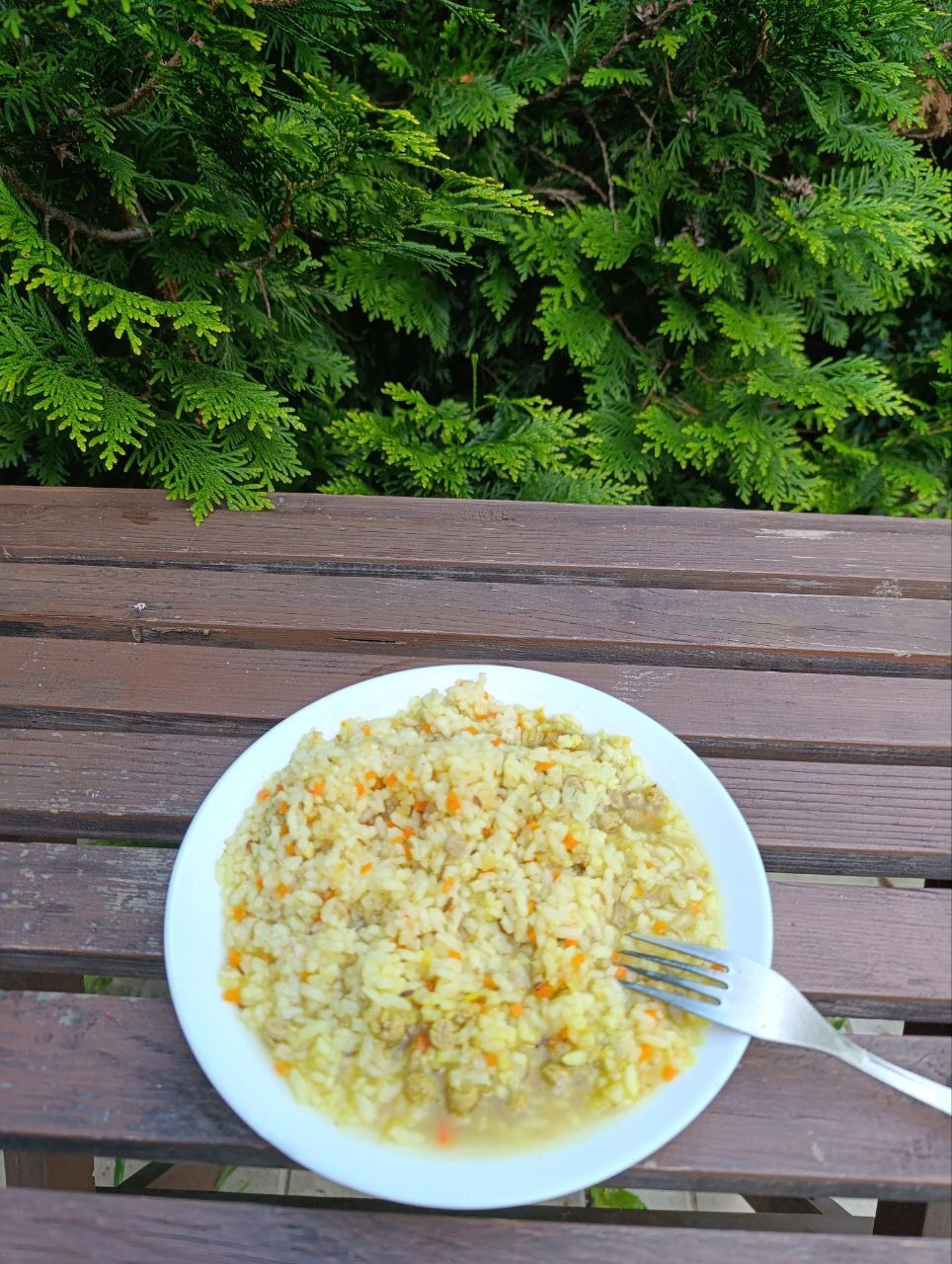 Tourist food review - My, Tourism, Pilaf, Morse, Pasta, Hike, Food, Overview, Borsch, Longpost