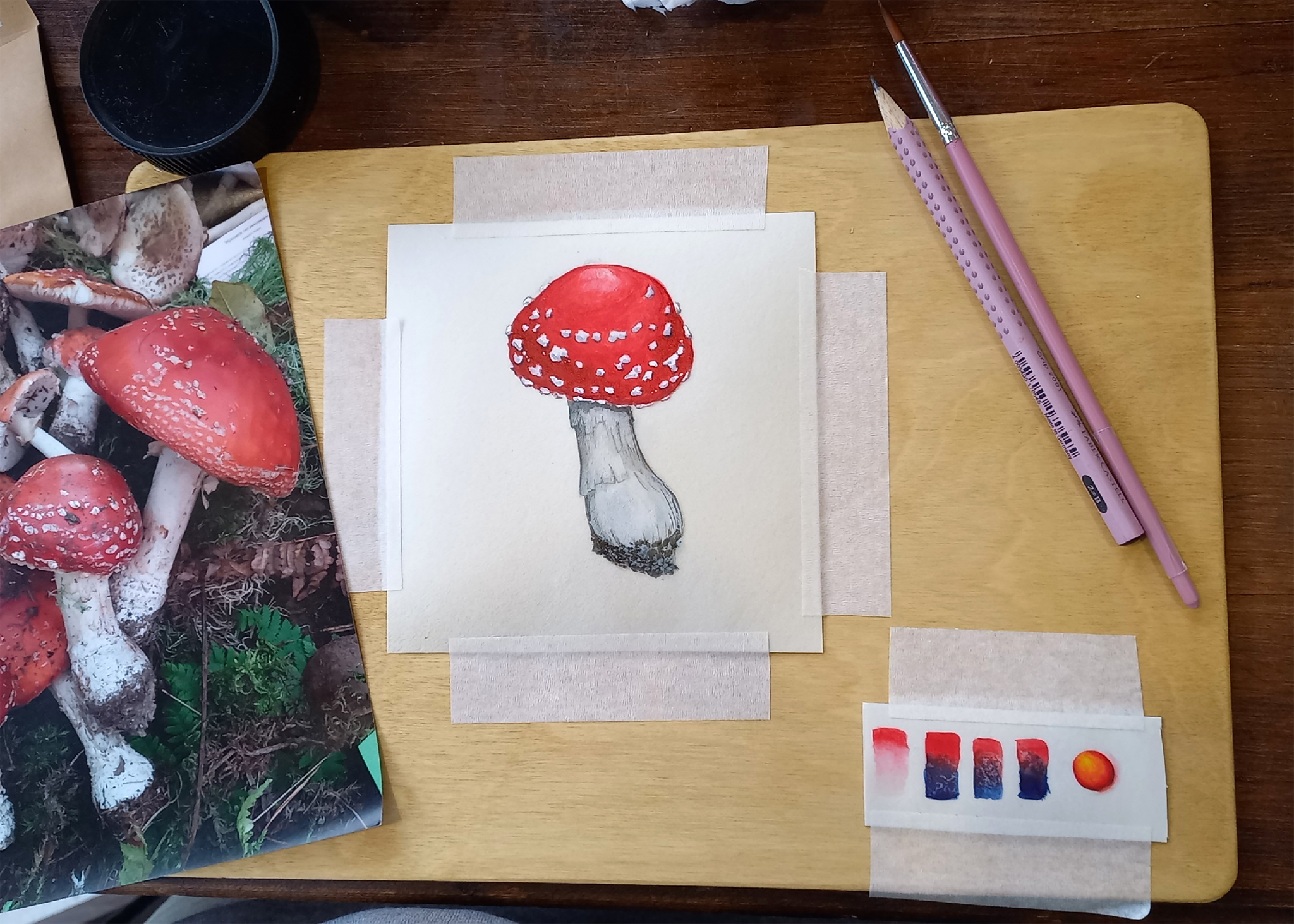 Fly agaric on parchment - My, Drawing process, Drawing, Mushrooms, Fly agaric, Watercolor, Parchment