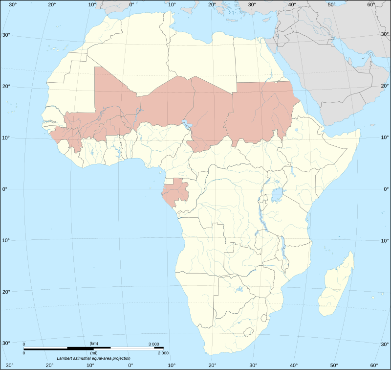 US exodus from Africa. Shameful flight or new strategy? - Politics, West, USA, Russia, European Union, France, Africa, Military, Great Britain, Europe, UN, Afghanistan, NATO, PMC wagner, Turkey, Longpost