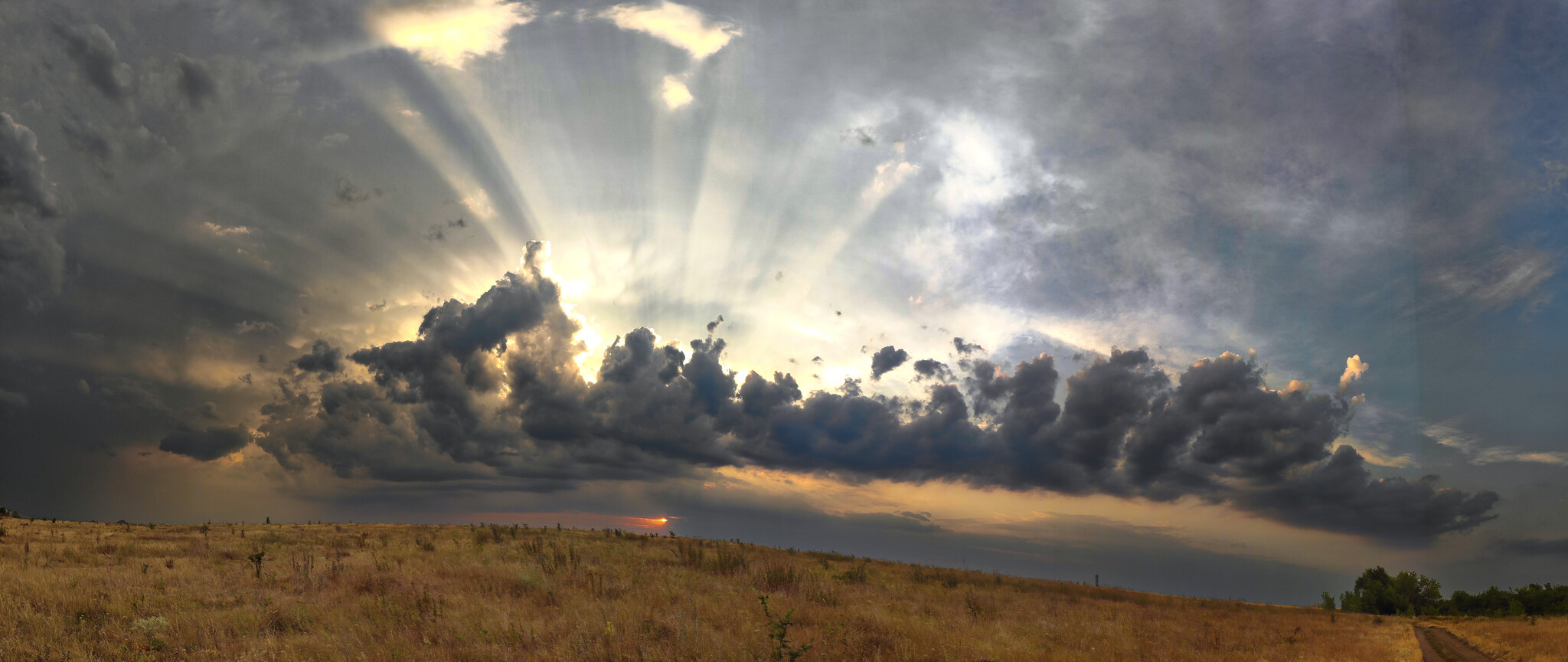 Beautiful - My, The nature of Russia, Nature, Birds, Hobby, Steppe, Landscape, LPR, Donbass, Evening, Sunset, Longpost