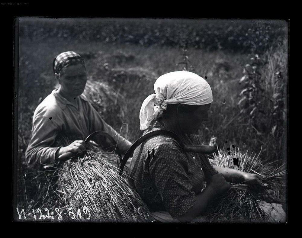 Жители русских сёл и деревень Ленинградской губернии 1925-1926 - СССР, Черно-белое фото, Длиннопост