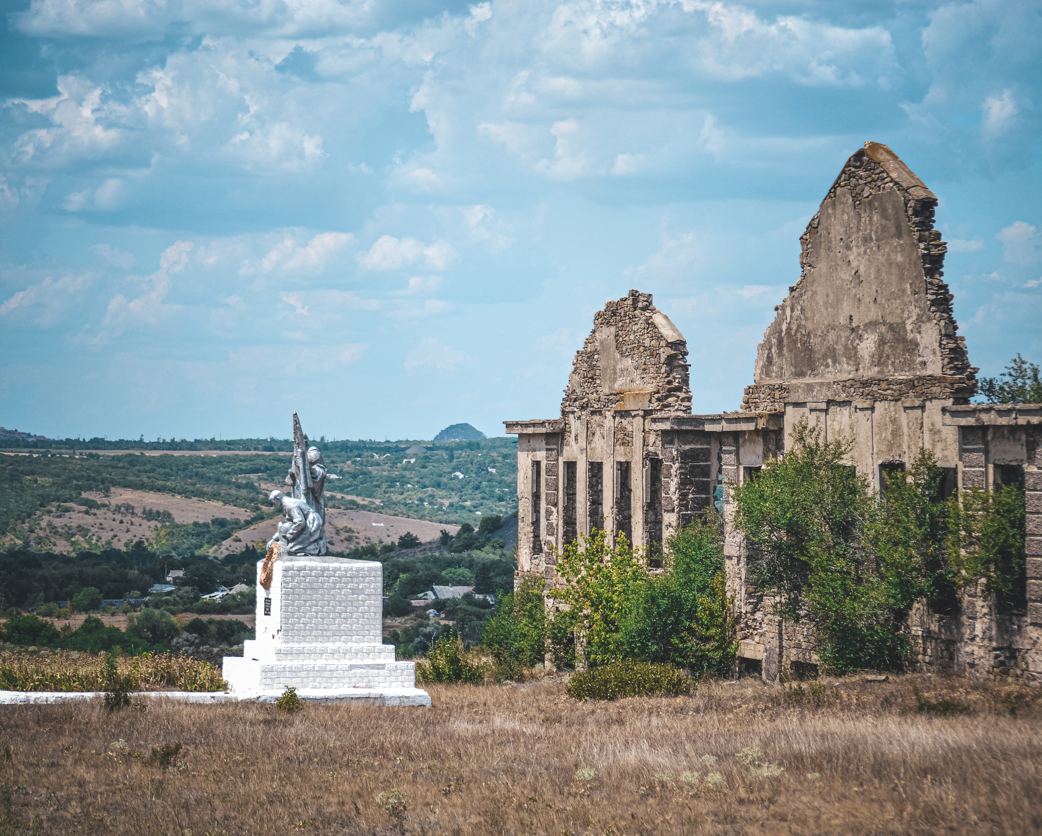 A short walk through the ruins - My, The photo, Walk, Ruin, Anthracite, Betting, Nikon d3100, Greenery, Гусь, Frogs, Butterfly, Longpost