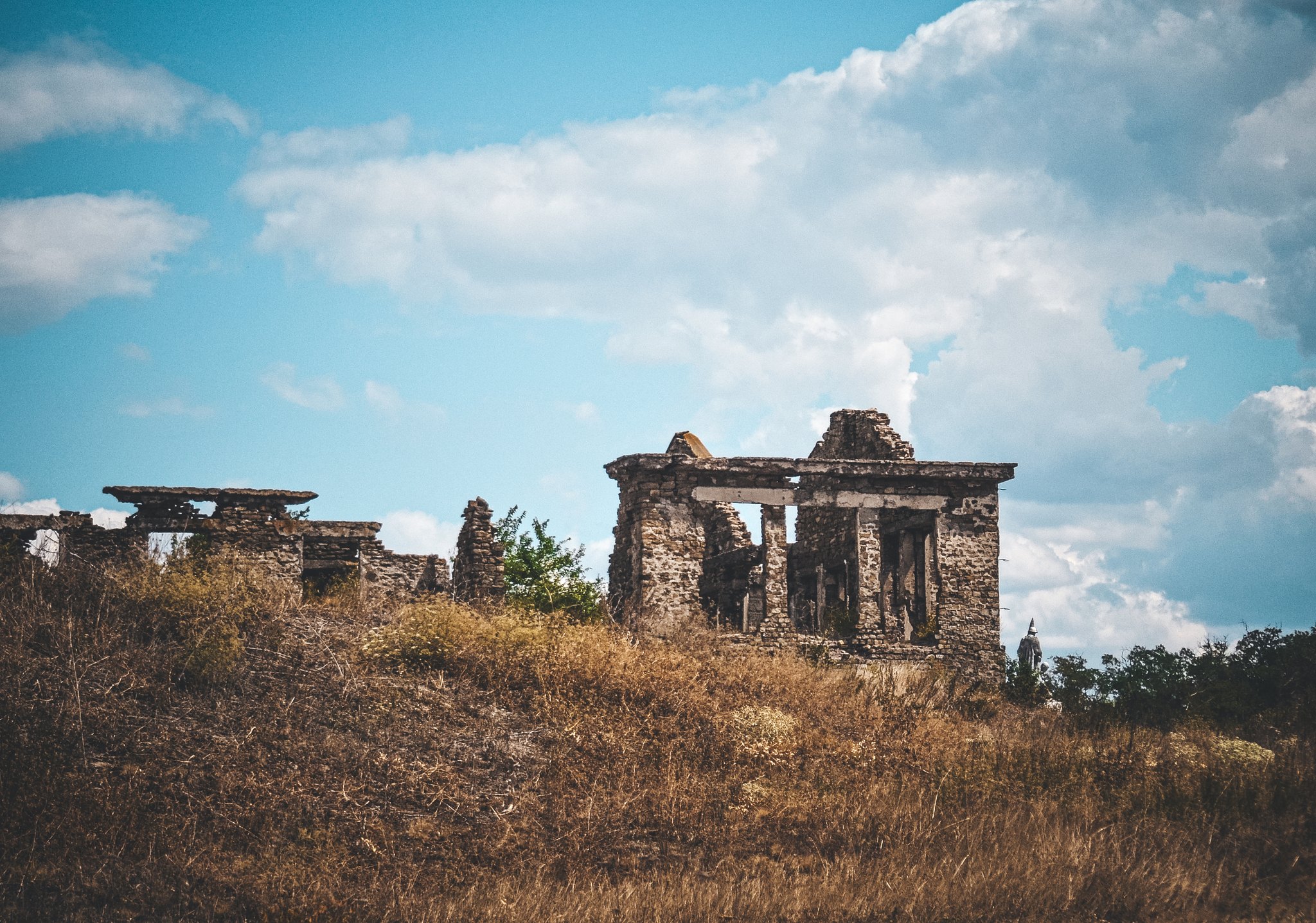 A short walk through the ruins - My, The photo, Walk, Ruin, Anthracite, Betting, Nikon d3100, Greenery, Гусь, Frogs, Butterfly, Longpost