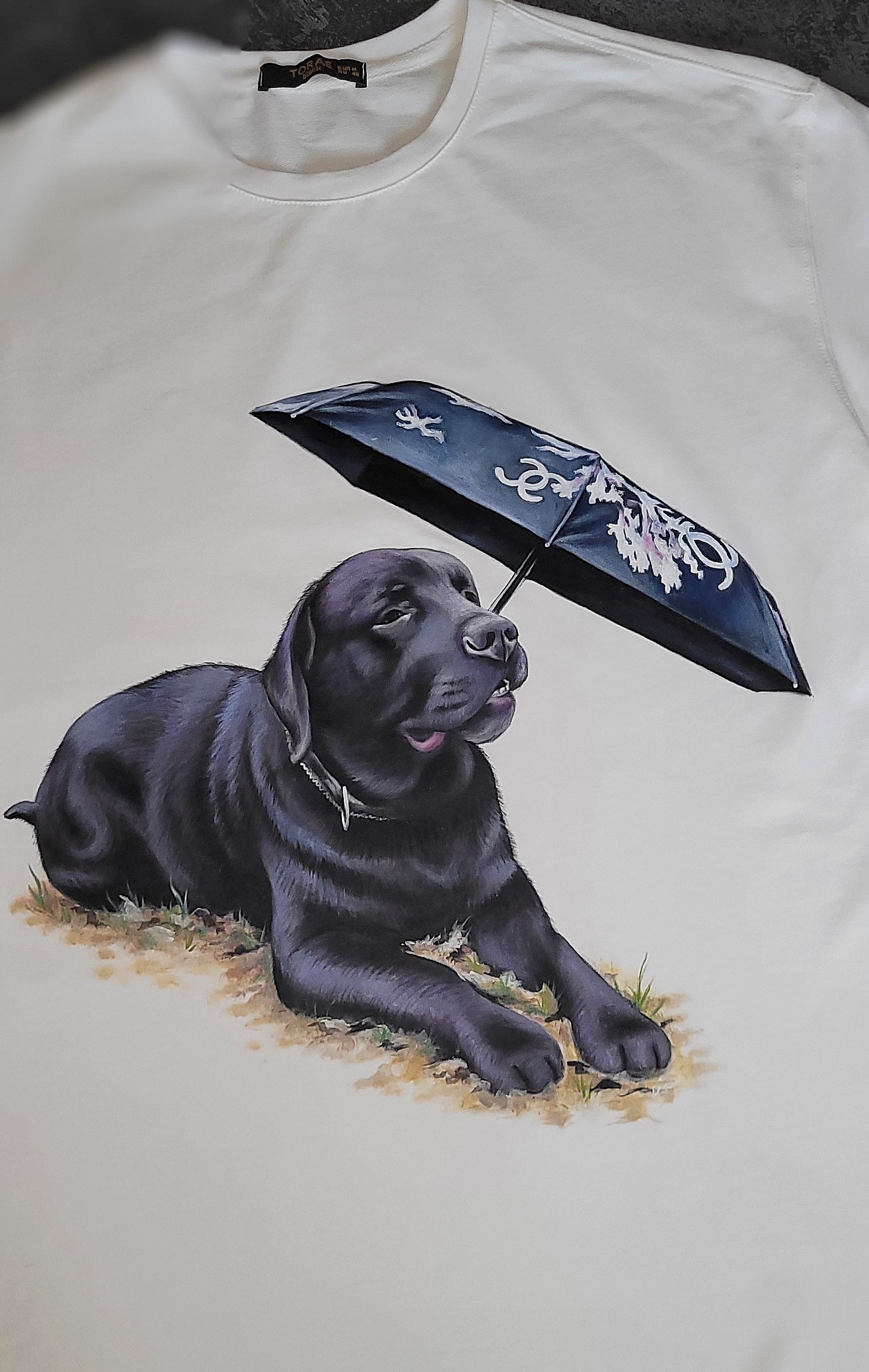 Hand-painted T-shirt, portrait of a Labrador - My, Corgi, Brooch, Longpost