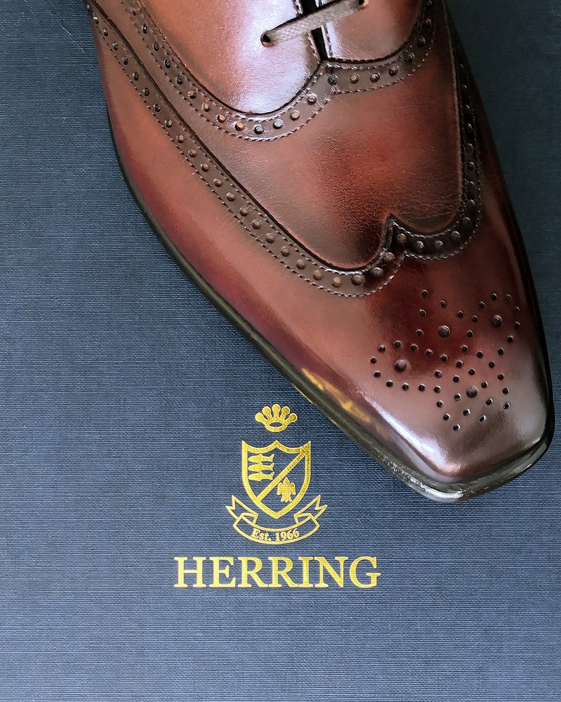 Herring Munster Brogues Review - My, Male, Shoes, Purchase, Style, Fashion, Overview, Longpost