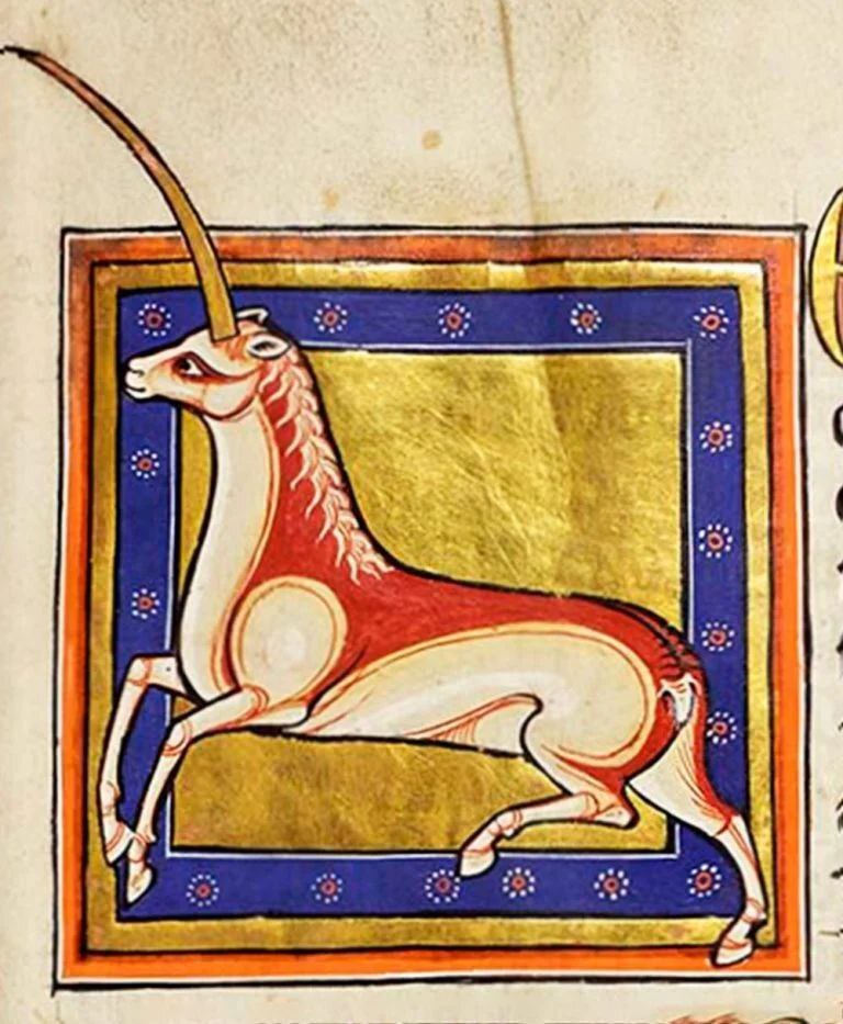 Medieval bestiary - Bestiary, History (science), Archeology, Painting, Old books, Middle Ages, Longpost