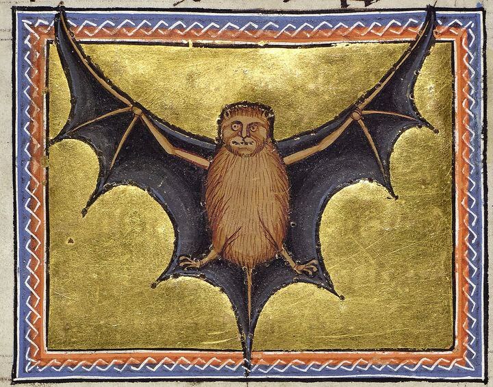 Medieval bestiary - Bestiary, History (science), Archeology, Painting, Old books, Middle Ages, Longpost