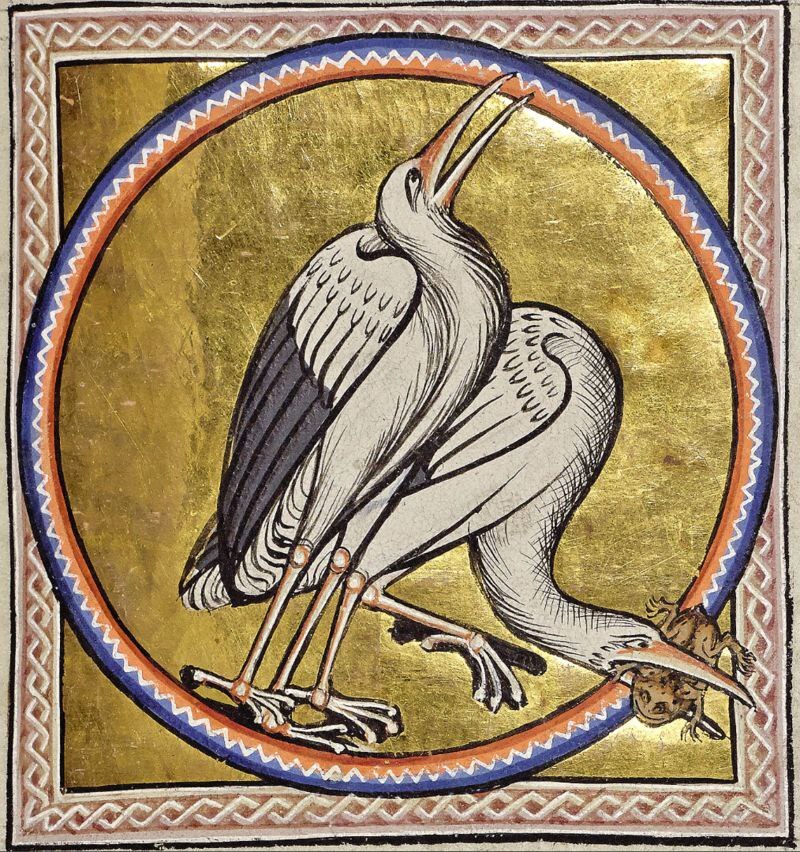 Medieval bestiary - Bestiary, History (science), Archeology, Painting, Old books, Middle Ages, Longpost