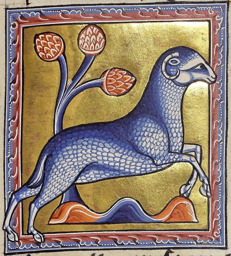 Medieval bestiary - Bestiary, History (science), Archeology, Painting, Old books, Middle Ages, Longpost