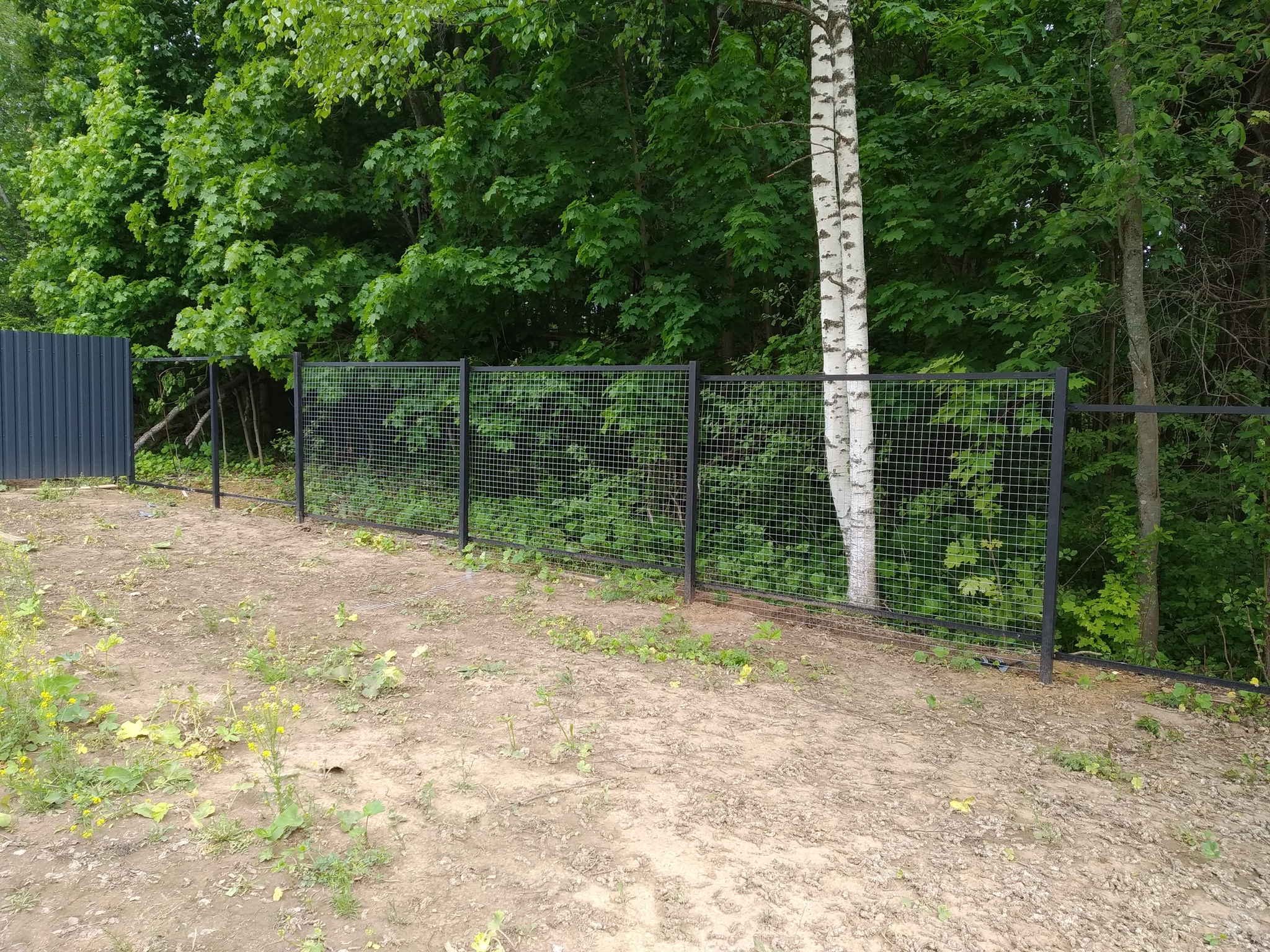 Is three types of fence too much? - Dacha, Home construction, Rukozhop, Fence, Vacation home, Video, Longpost