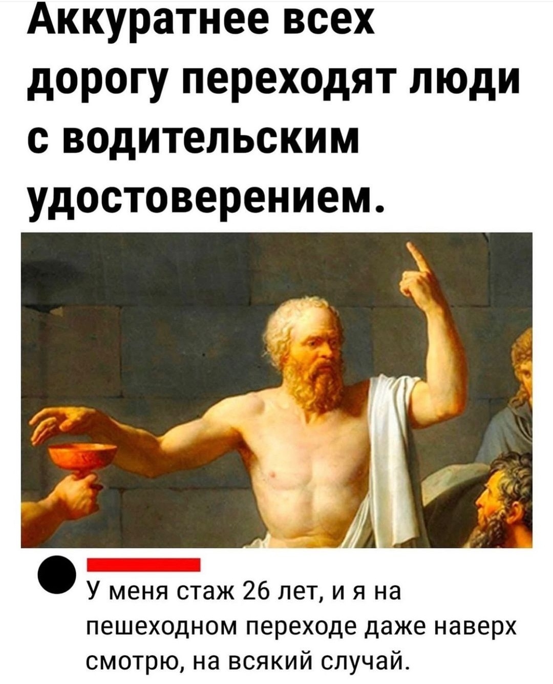 Пешеход всегда прав, но не всегда жив - Юмор, ПДД, Пешеход, Картинка с текстом, Скриншот, Комментарии