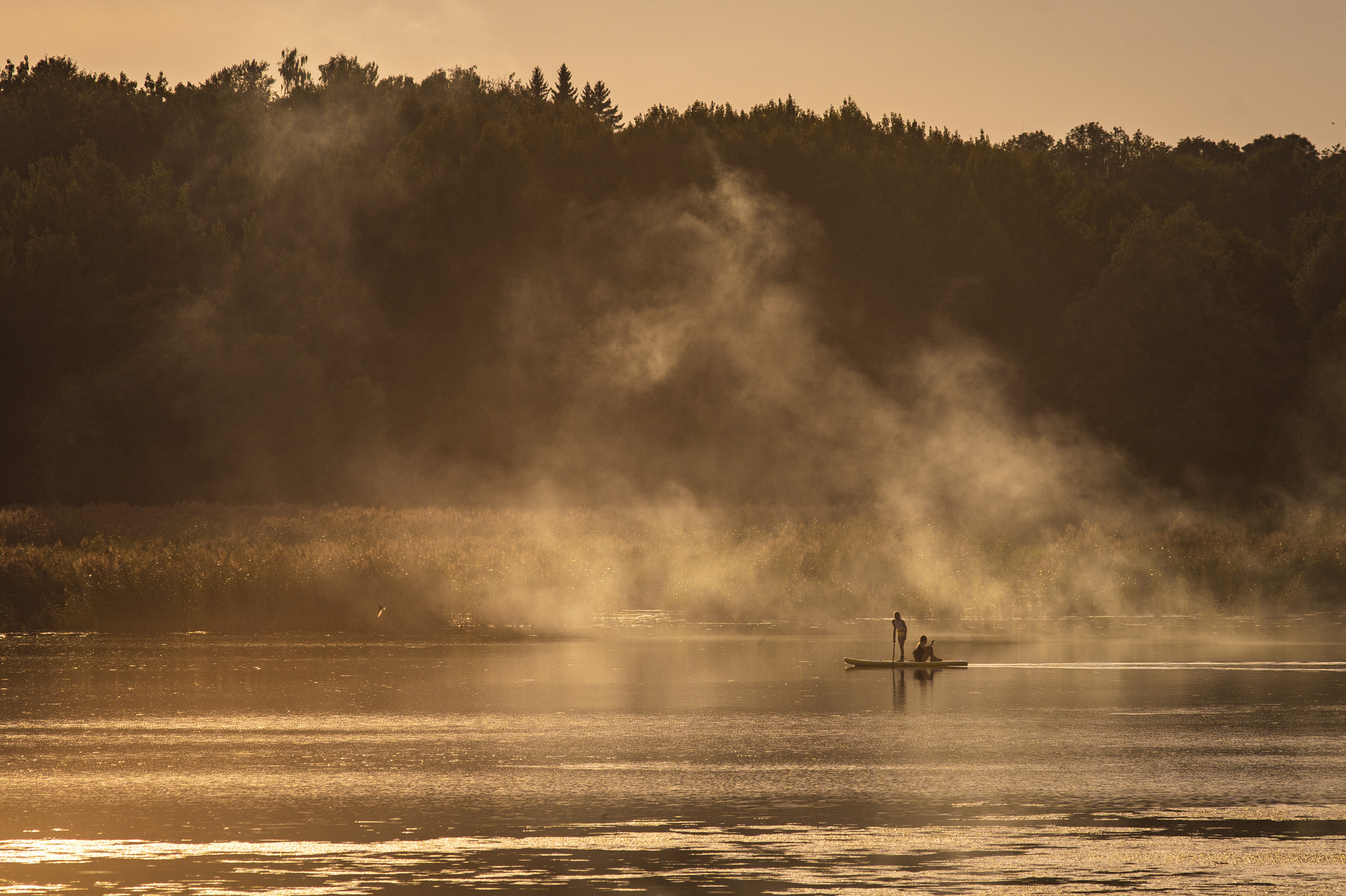 July evening near St. Petersburg - My, The photo, Evening, Sunset, Nature, Lake, Leningrad region, Longpost