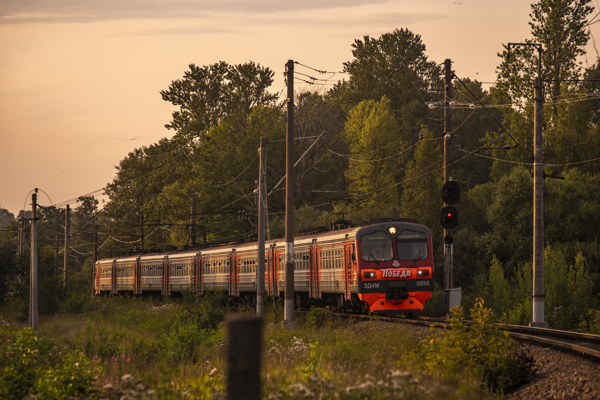 July evening near St. Petersburg - My, The photo, Evening, Sunset, Nature, Lake, Leningrad region, Longpost