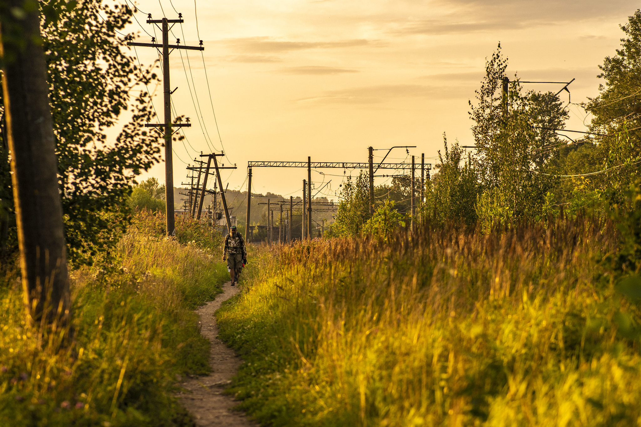 July evening near St. Petersburg - My, The photo, Evening, Sunset, Nature, Lake, Leningrad region, Longpost