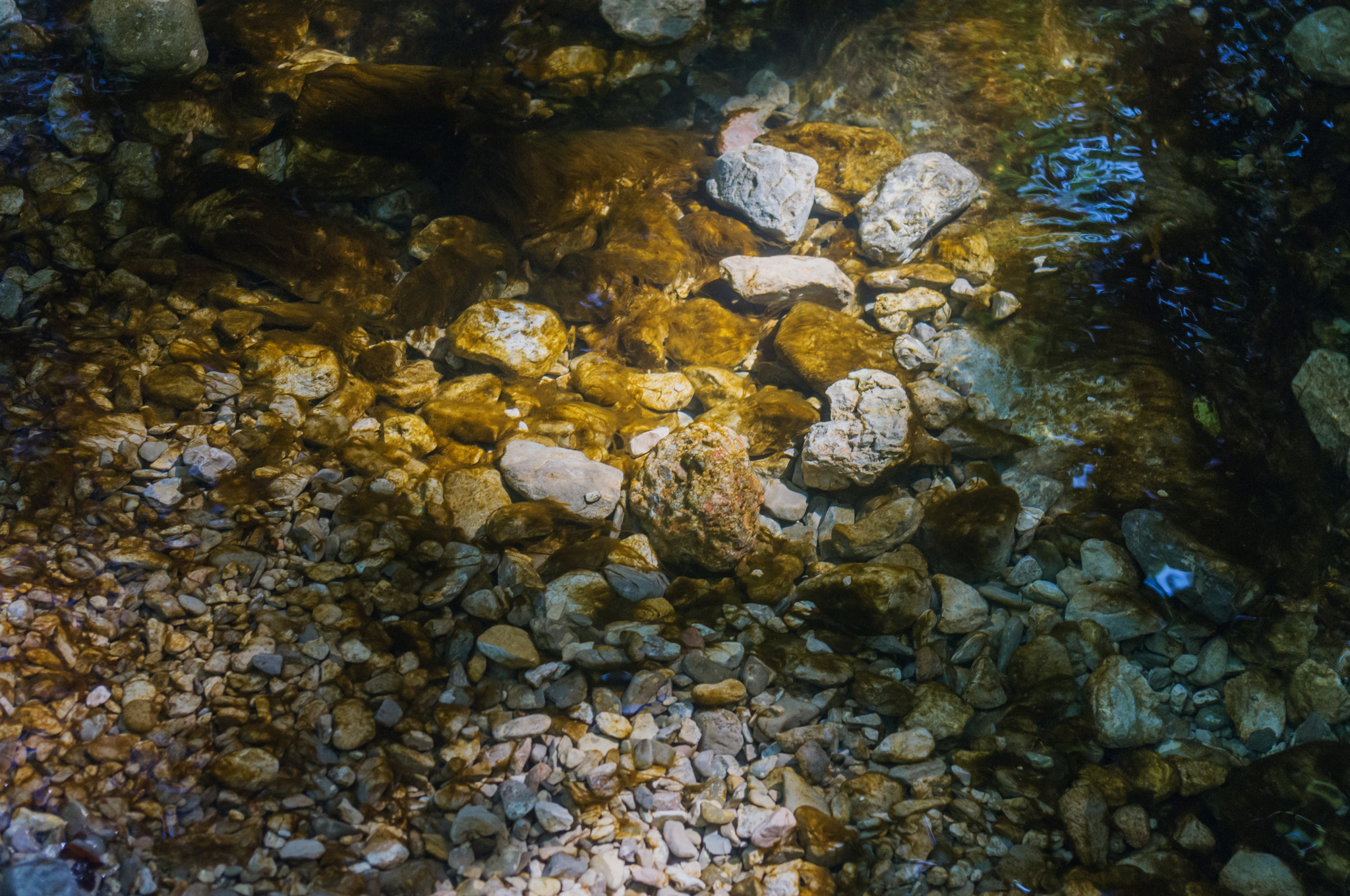 The coolness of the Grand Canyon of Crimea on a hot day - My, Crimea, The photo, Travels, Summer, Canyon, River, The mountains, Longpost