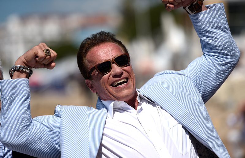 From “Terminator” to the governor: how Schwarzenegger found himself at the pinnacle of fame and what price he paid for it - Arnold Schwarzenegger, Terminator, The governor, Body-building, Career, Wealth, Relocation, Longpost, Al Bee Back