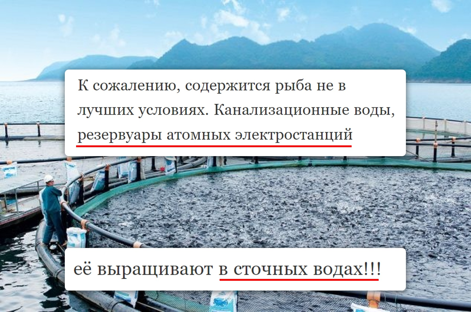 Мусорная рыба или мусорные нутрициологи? - Моё, Питание, ЗОЖ, Правильное питание, Похудение, Лишний вес, Длиннопост, Тилапия, Рыба