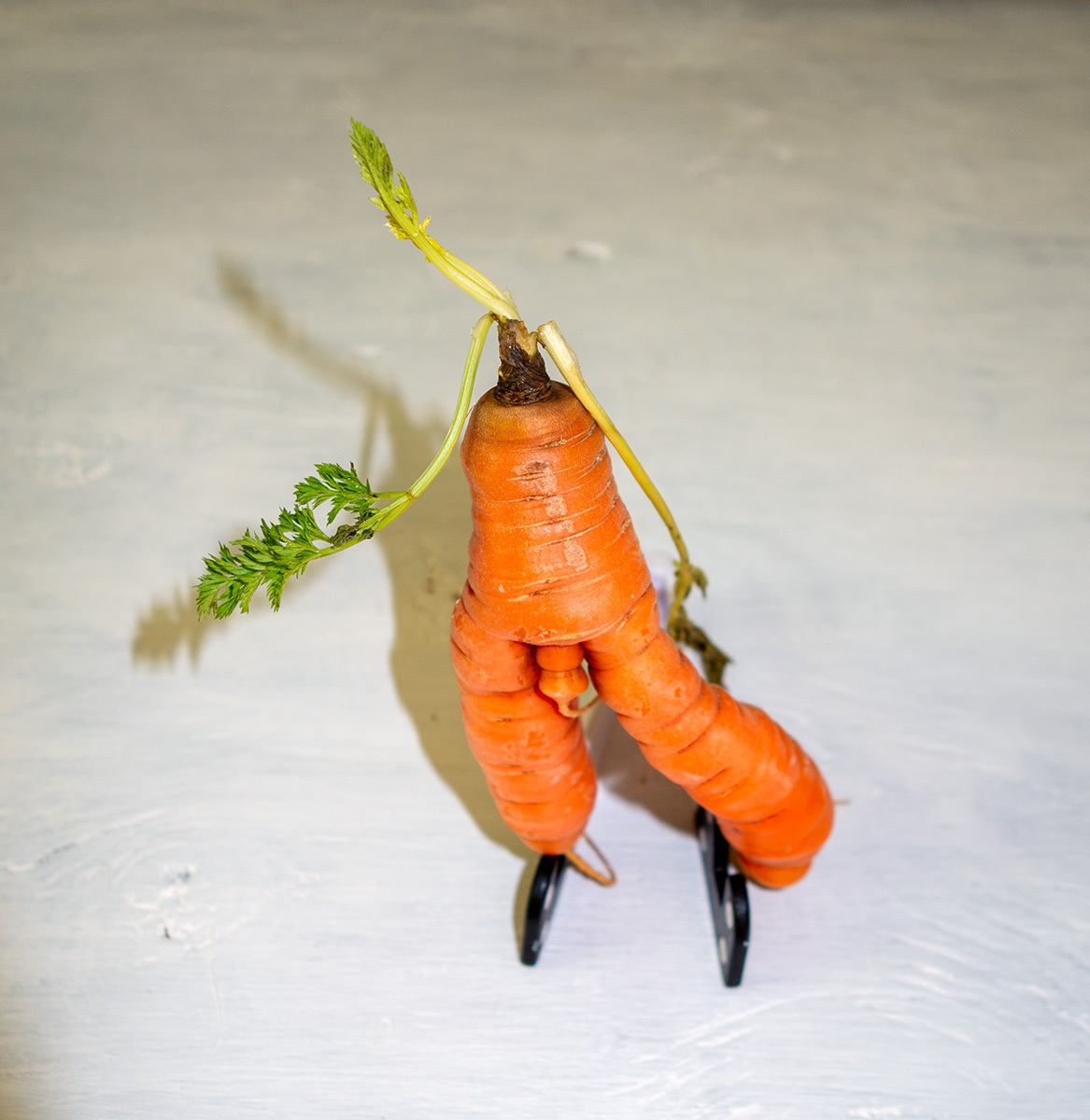 Markoff from my dacha - My, Humor, Nature, The photo, Unusual, Vegetables, Art, Pareidolia