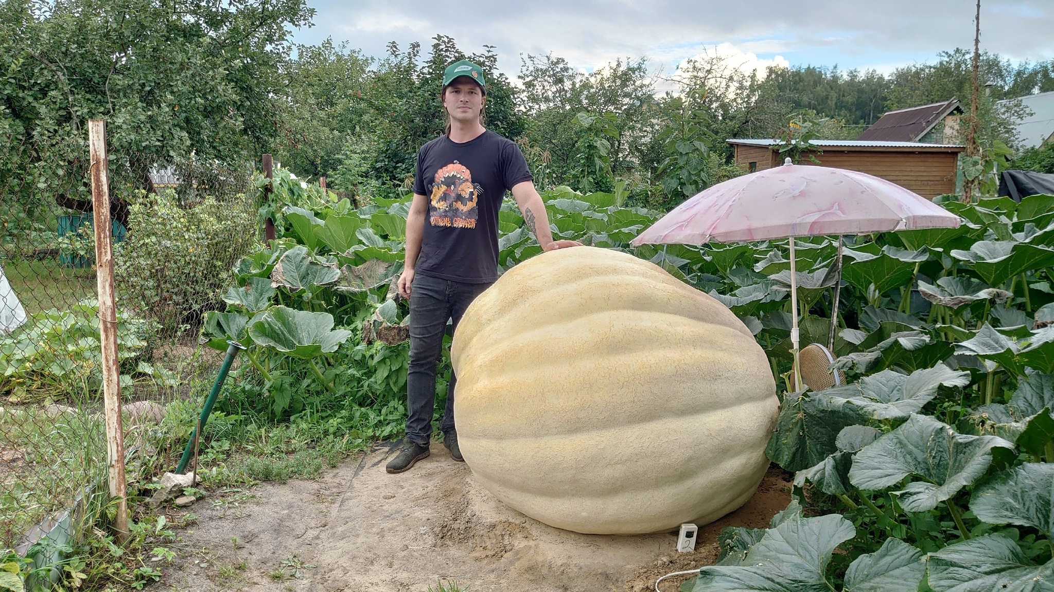 Giant Pumpkin Summary for 7/30/2024 - My, Garden, Gardening, Garden, Plants, Vegetables, Longpost