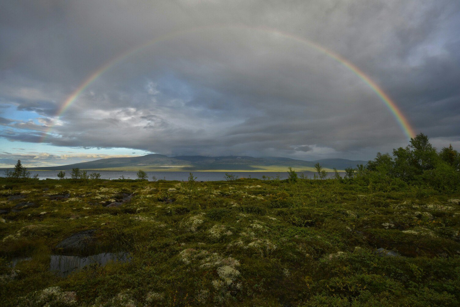 Rainbow - Rainbow, The photo