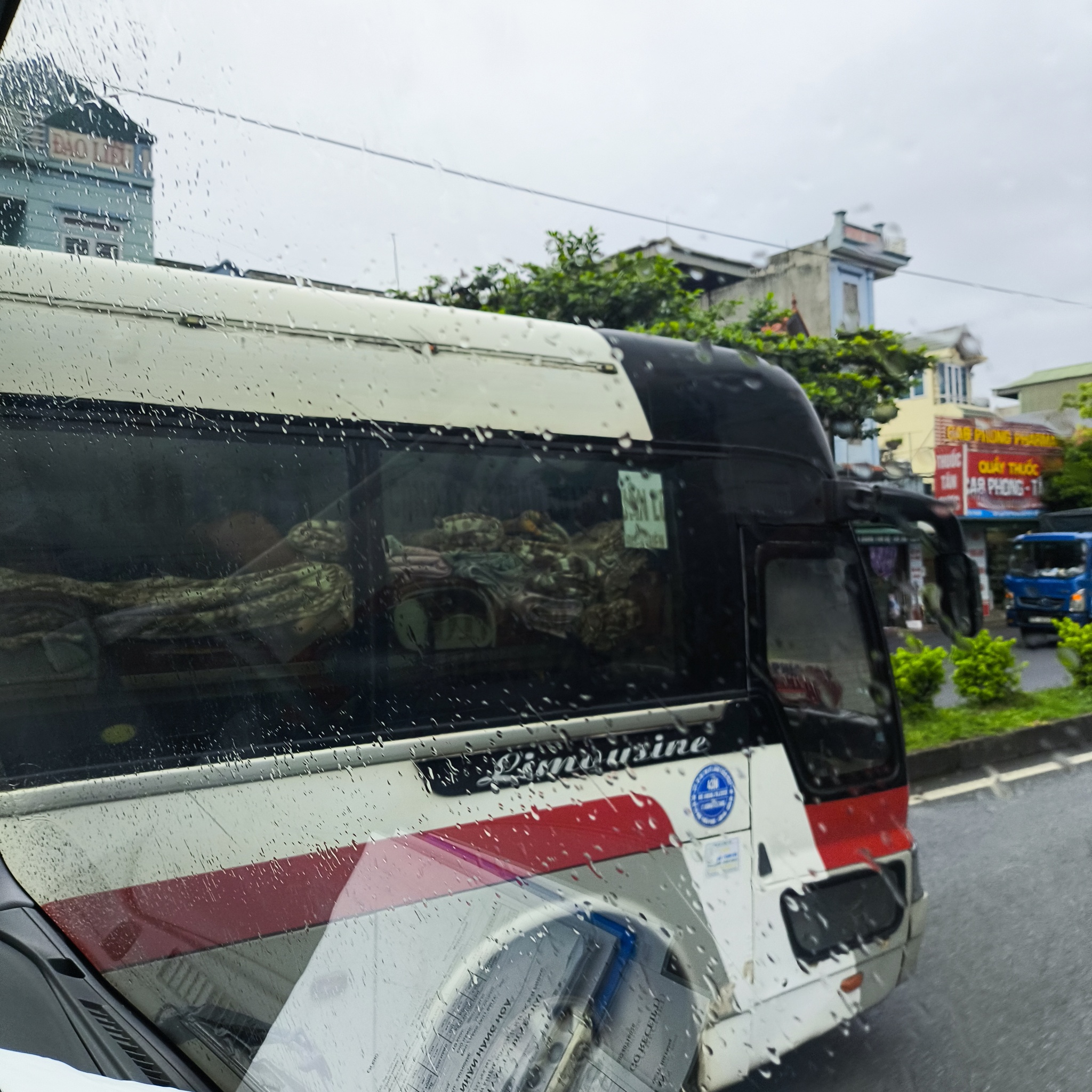 Diary of a trip to Melanesia. Vietnam. Day 40. Here comes the rain - My, Travels, Drive, Camping, Hitch-hiking, Vietnam, Around the world, Informative, People, Video, Longpost