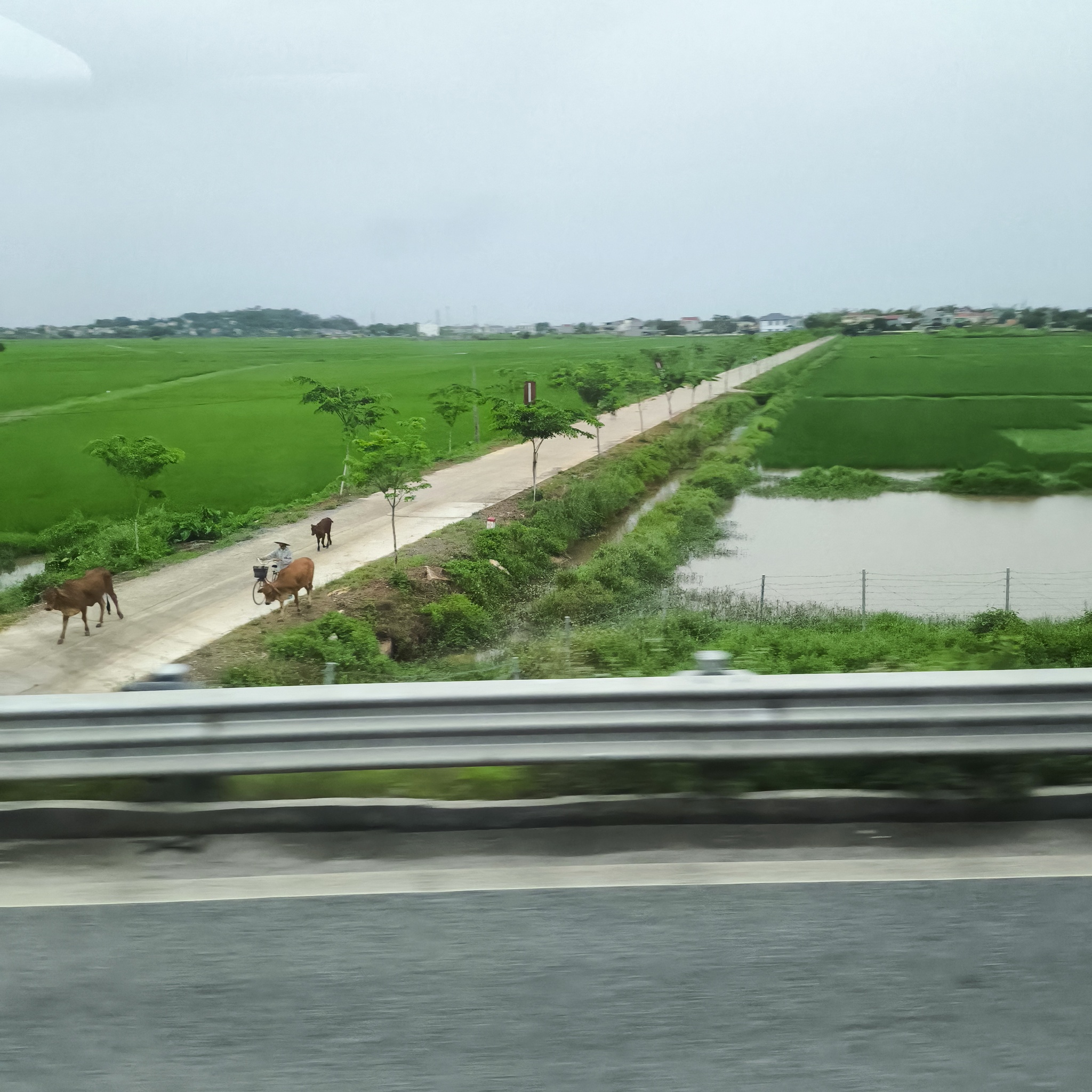 Diary of a trip to Melanesia. Vietnam. Day 40. Here comes the rain - My, Travels, Drive, Camping, Hitch-hiking, Vietnam, Around the world, Informative, People, Video, Longpost