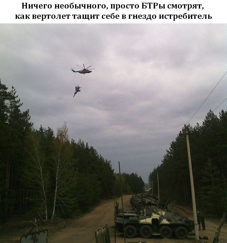 Wildlife is amazing - Helicopter, Picture with text, Humor, Armored personnel carrier, Repeat, Military equipment