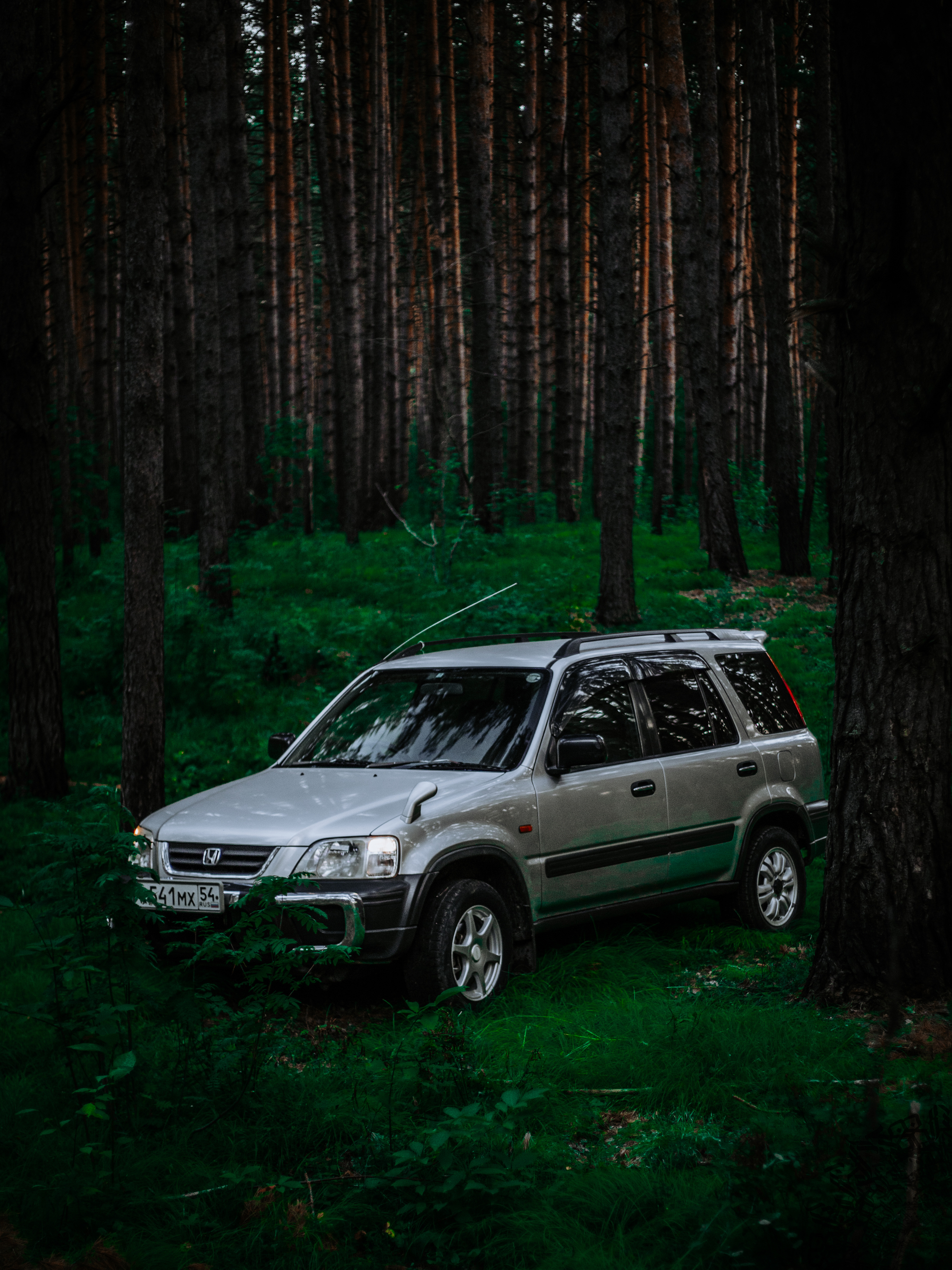 Small photo shoot for Honda CR-V RD1 - My, The photo, Canon, Auto, Forest, Honda, Honda cr-v, Car Photography, Longpost