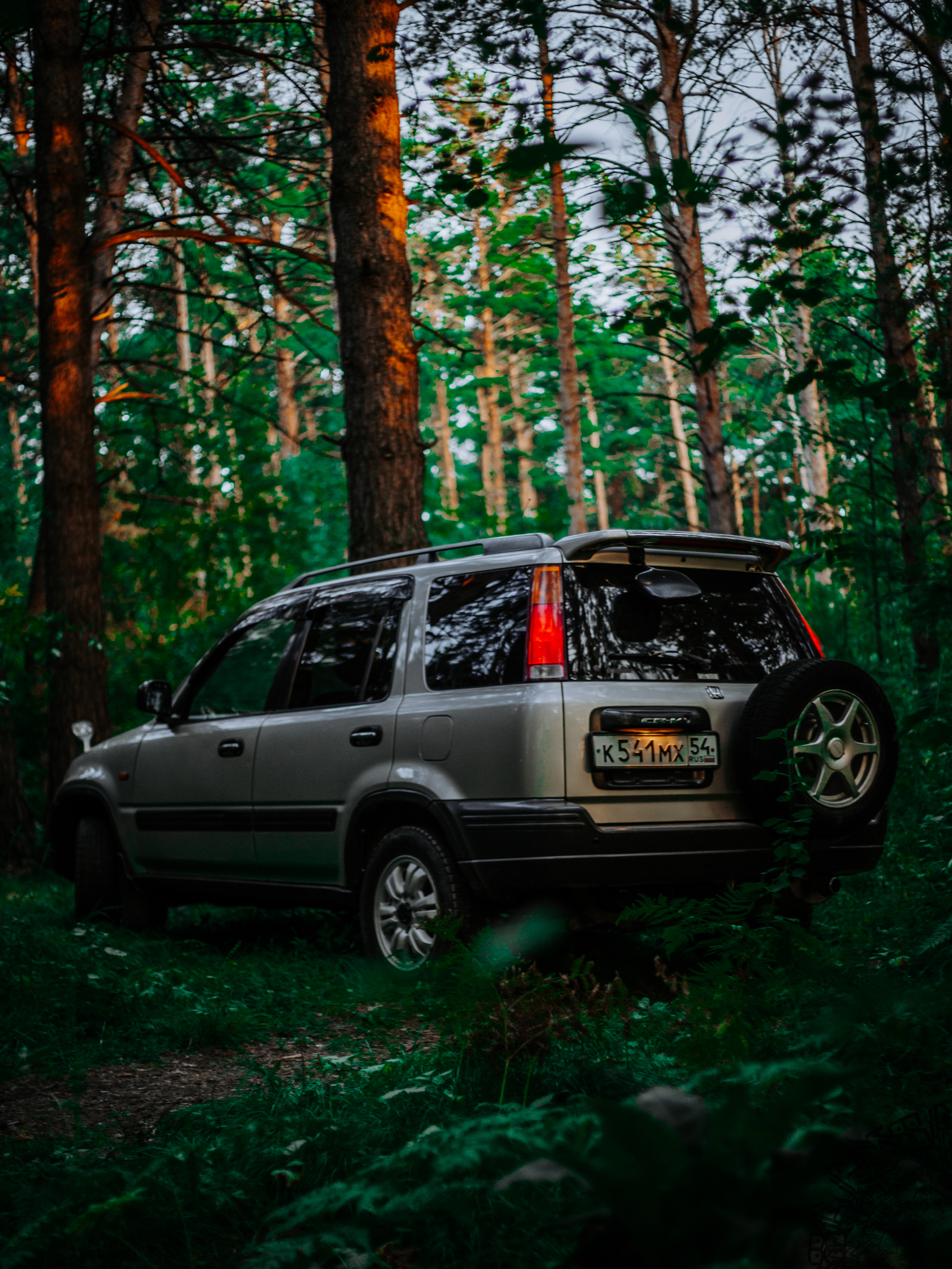 Small photo shoot for Honda CR-V RD1 - My, The photo, Canon, Auto, Forest, Honda, Honda cr-v, Car Photography, Longpost