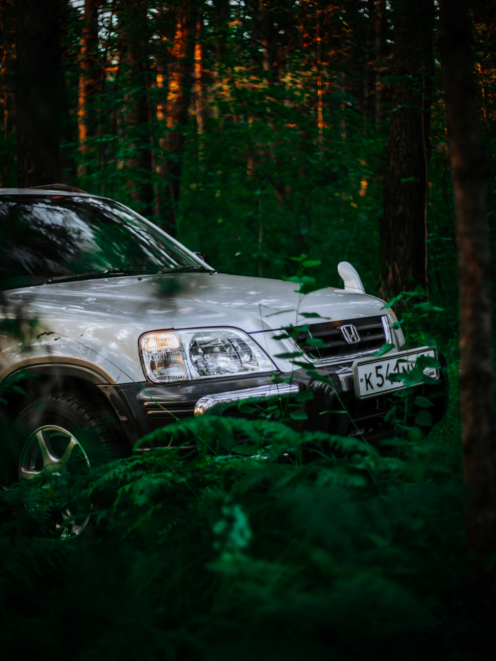 Small photo shoot for Honda CR-V RD1 - My, The photo, Canon, Auto, Forest, Honda, Honda cr-v, Car Photography, Longpost