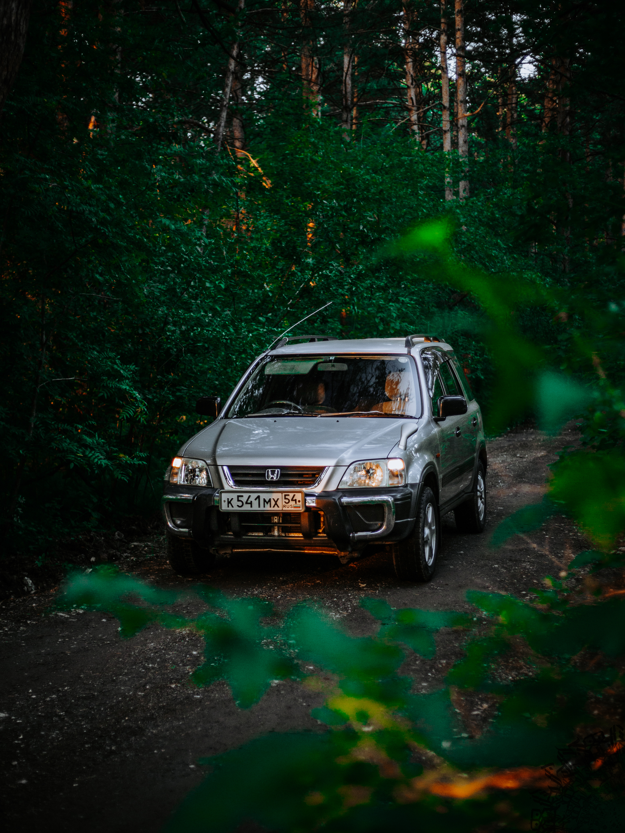 Small photo shoot for Honda CR-V RD1 - My, The photo, Canon, Auto, Forest, Honda, Honda cr-v, Car Photography, Longpost