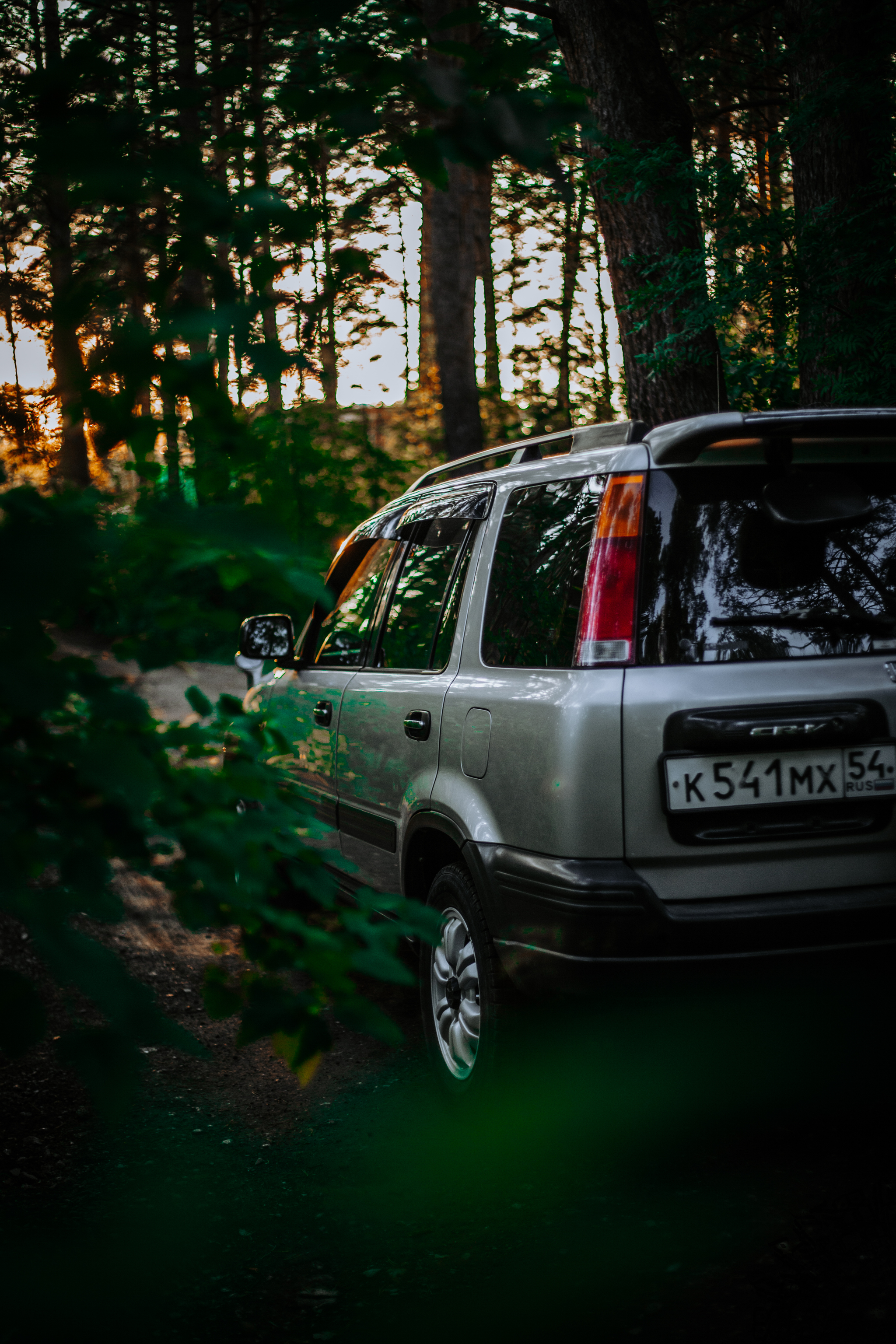 Small photo shoot for Honda CR-V RD1 - My, The photo, Canon, Auto, Forest, Honda, Honda cr-v, Car Photography, Longpost