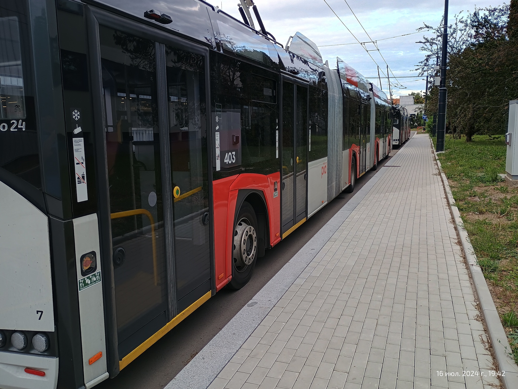 Dreams Come True - My, Bus, Driver, Dream, The photo