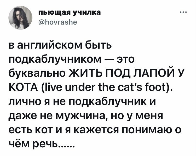 А вы живете под лапой кота? - Английский язык, Юмор, Кот, Выражение, Подкаблучник, Изучаем английский, Telegram (ссылка), Картинка с текстом, Twitter