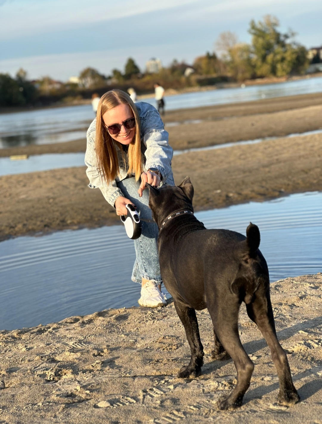 Cane Corso 5 months - My, Cane Corso, Dog, Kuban, Longpost