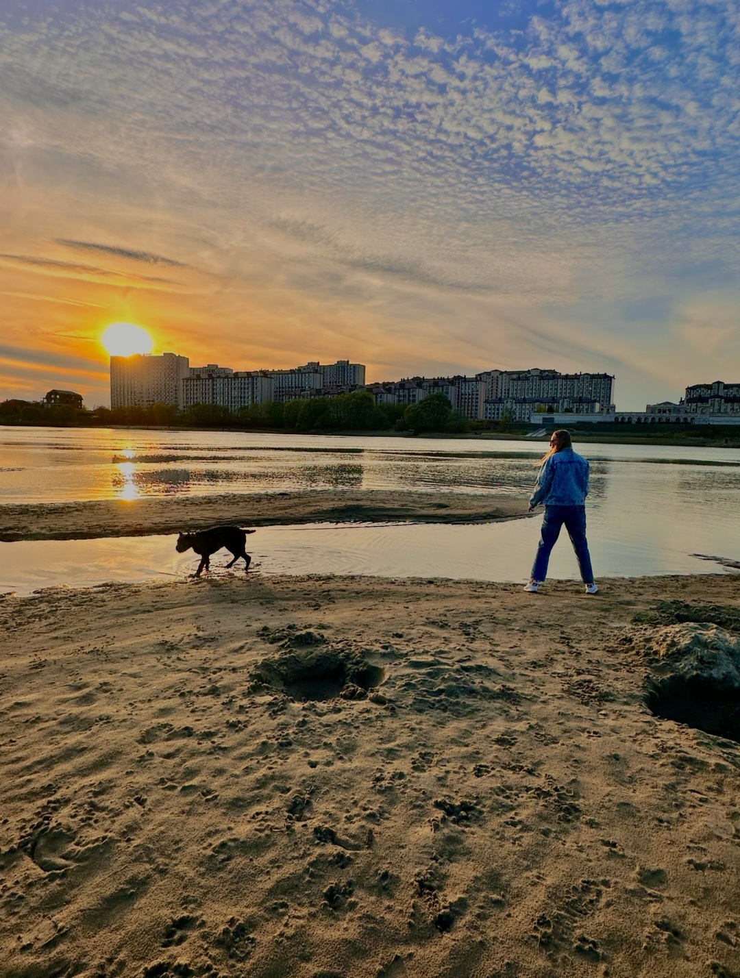 Cane Corso 5 months - My, Cane Corso, Dog, Kuban, Longpost