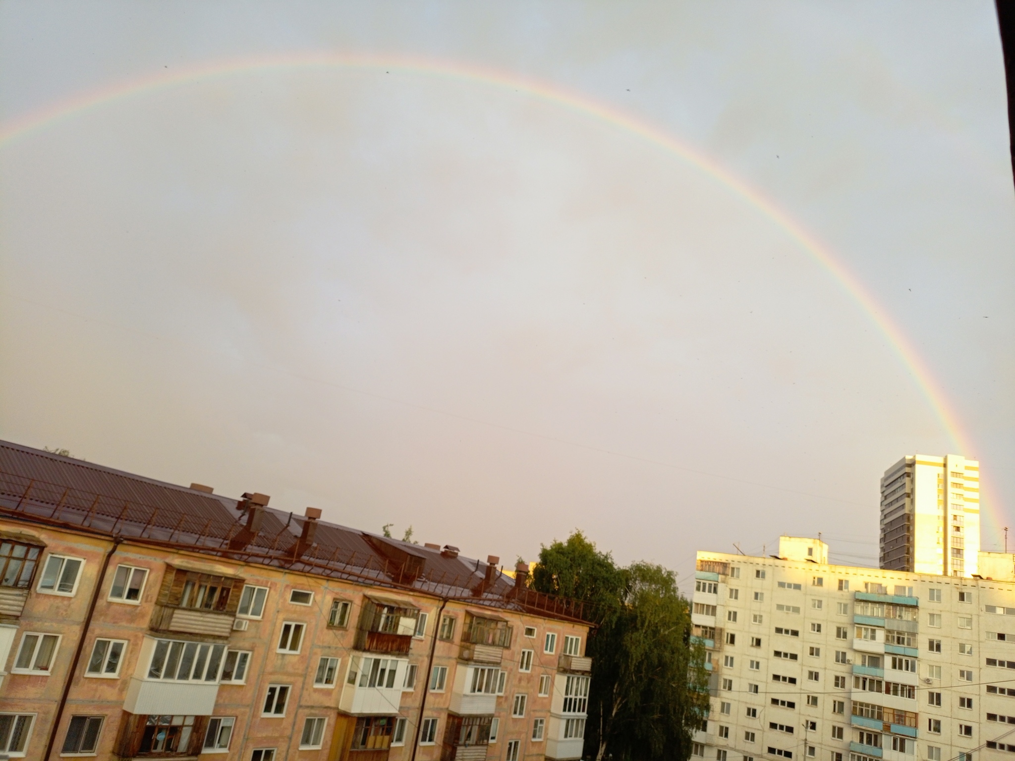 Rainbow in the city - My, Rainbow, Summer, The photo