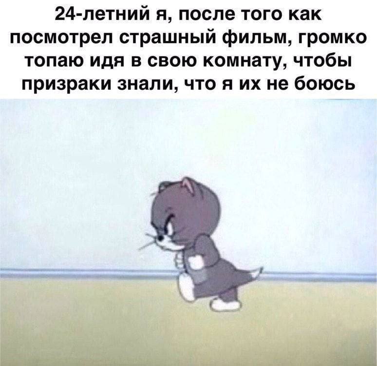 Fearless - Humor, Picture with text, Memes, cat, Tom and Jerry, Movies, Призрак, Telegram (link)