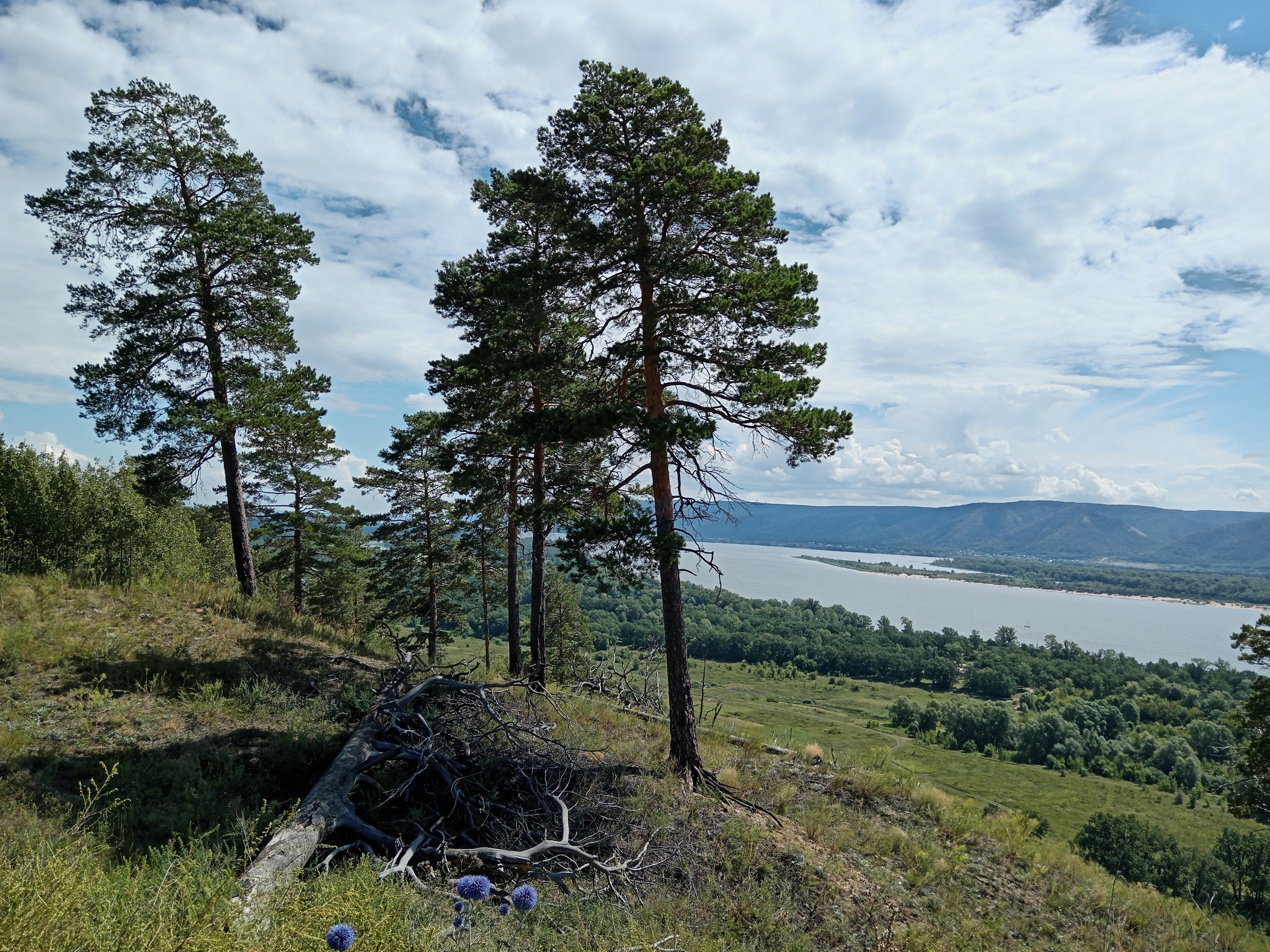 Here it is August... - My, Summer, Nature, Volga river, A bike, Camping, Bike ride, Longpost