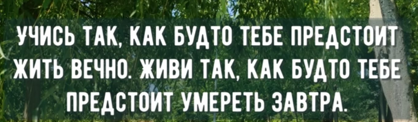 Become the best version of yourself yesterday. Live happily now. Seize the day - Picture with text, Bismarck, Psychology, Esoterics, Perfection