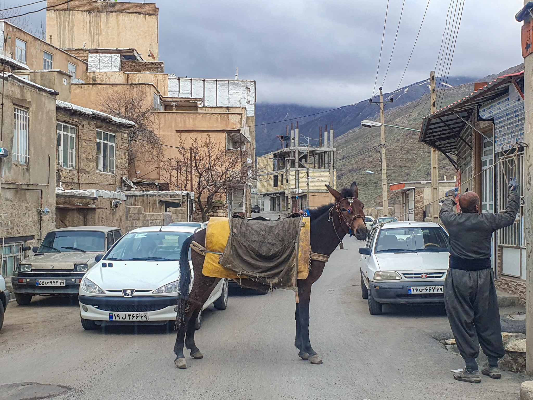 Beauty of Kurdistan - My, Iran, Kurdistan, Nature, Travels, Longpost