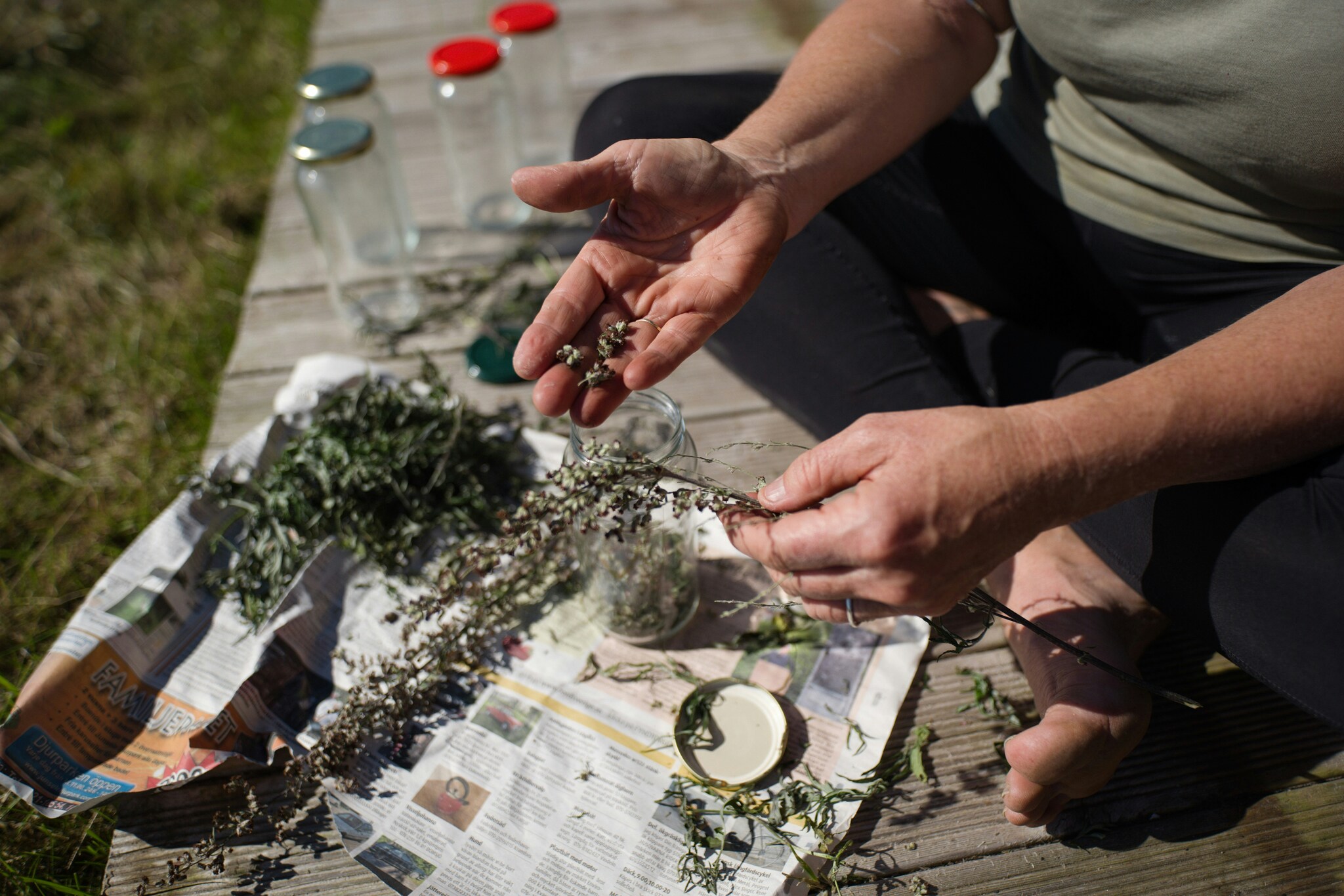 TOP of the most useful medicinal herbs that you can collect yourself. Perm Polytechnic scientist says: - My, The science, Health, Medicinal herbs, Vitamins, Longpost