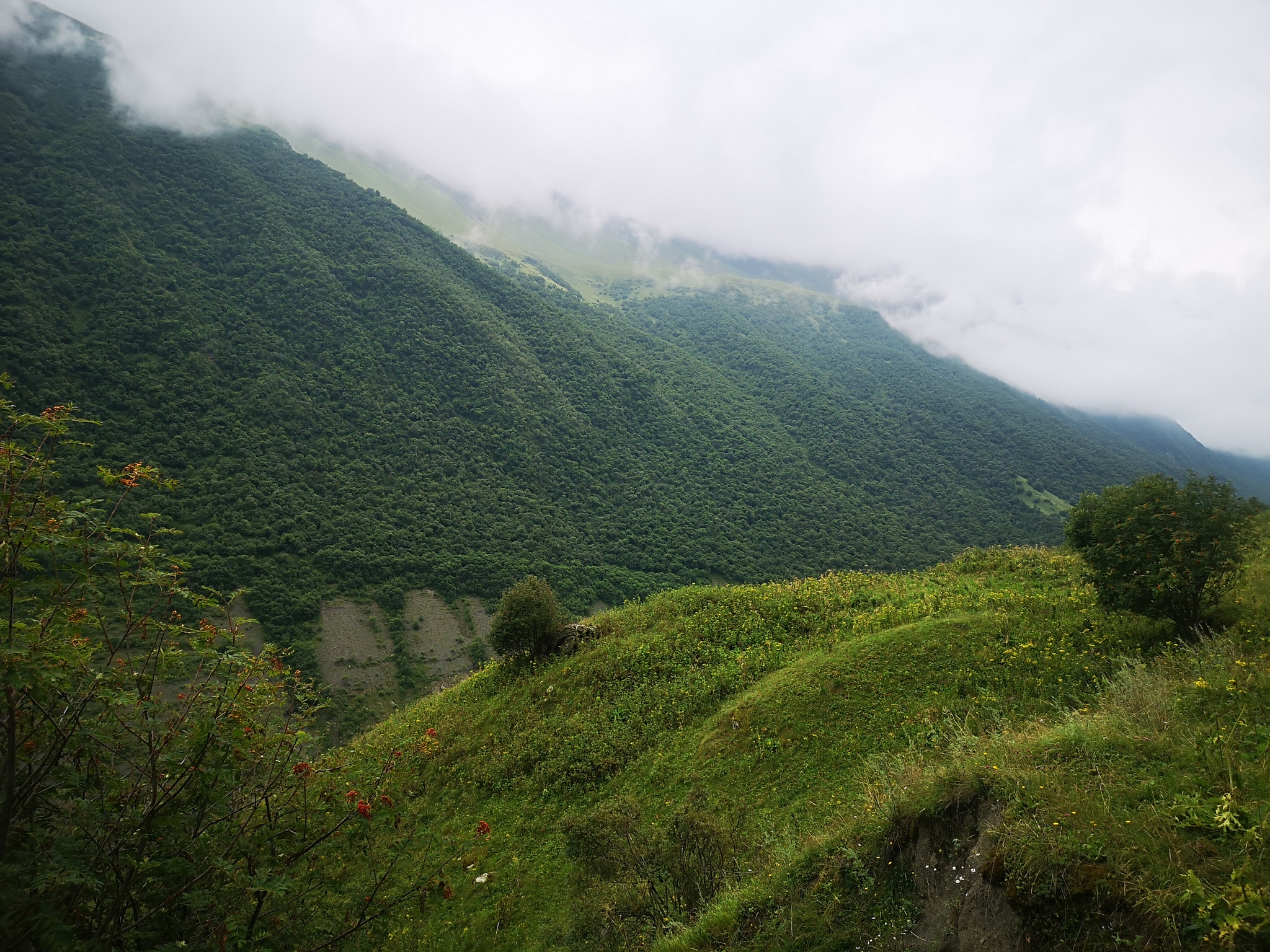 A little more Kazbek - My, Run, Mountaineering, The mountains, Kazbek, Karmadon Gorge, Longpost, The photo