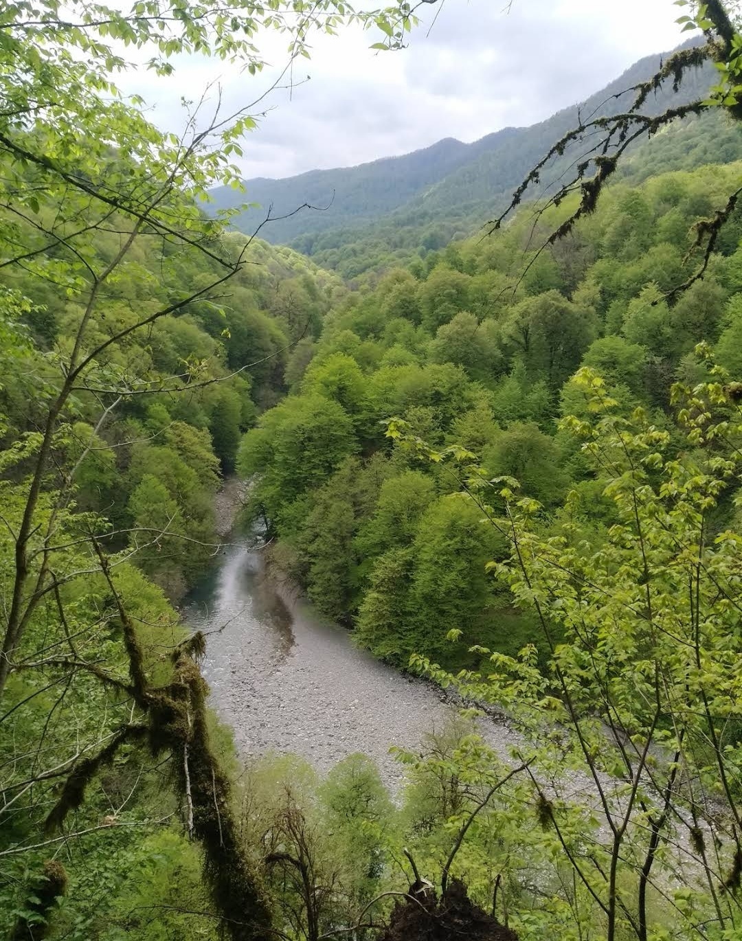 Up a mountain river: against the current in a kayak - My, Mountain tourism, Hike, Туристы, Caucasus, Mountain river, Alloy, Kayak, Sochi, Nature, wildlife, Camping, The rocks, Longpost