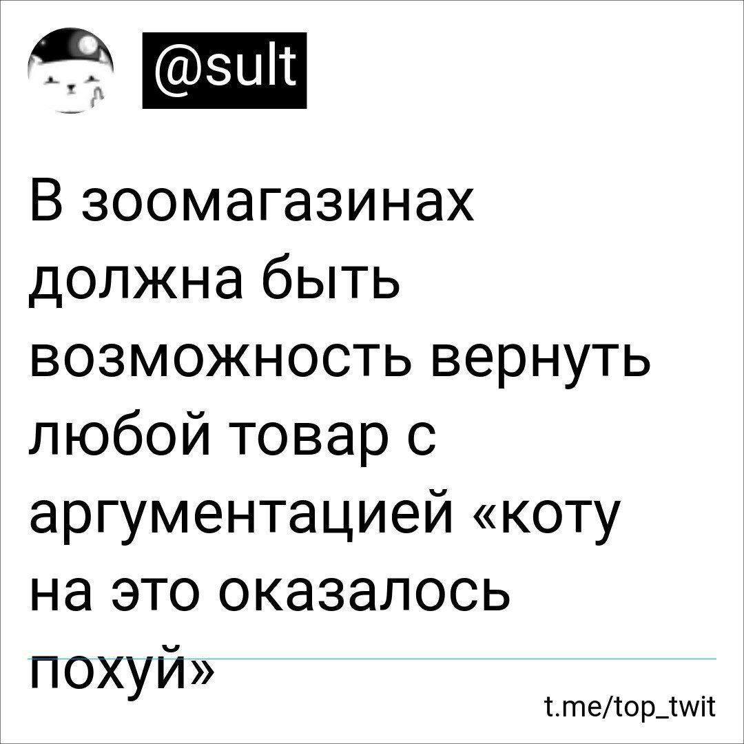 Вот правда, было бы круто - Юмор, Картинка с текстом, Кот, Twitter