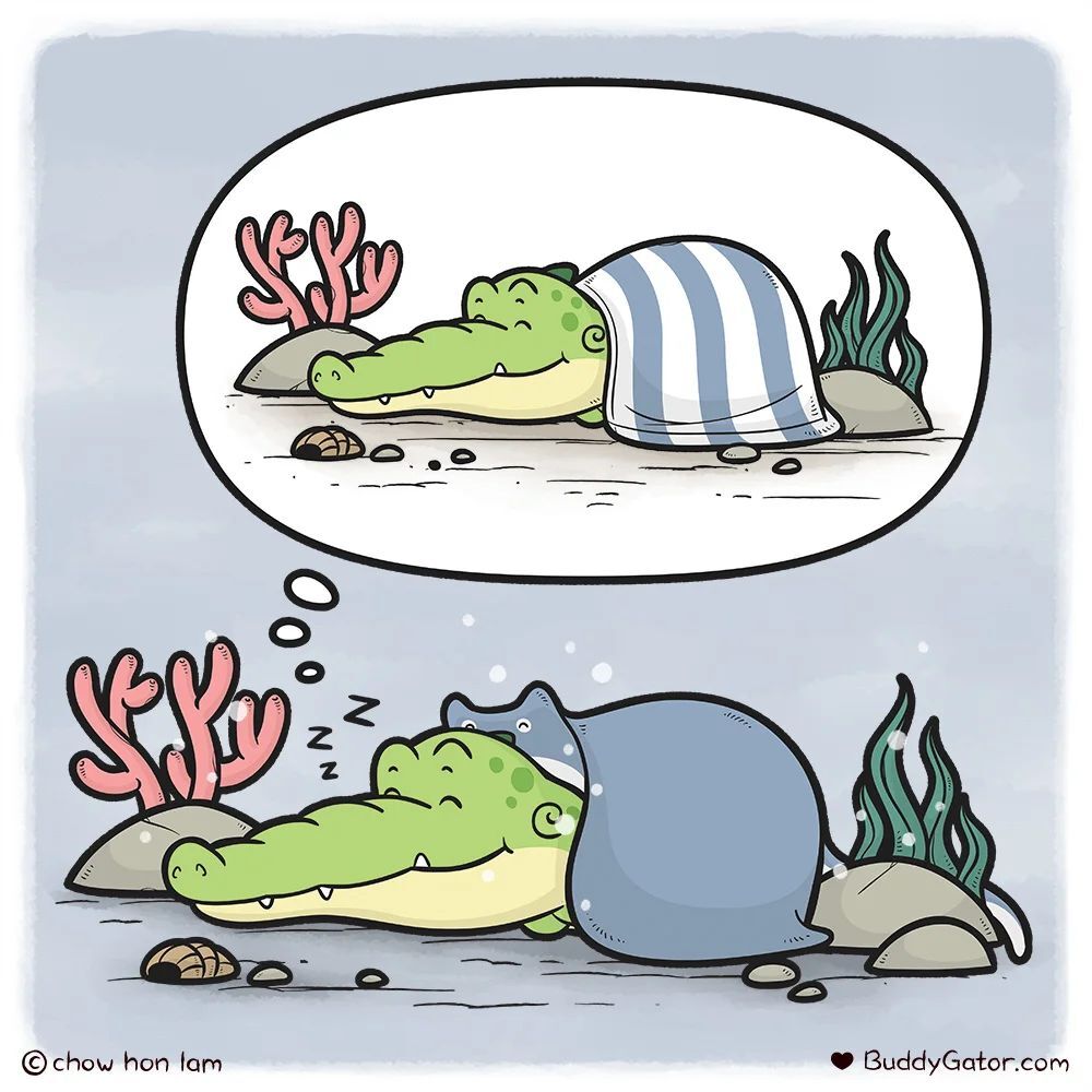 Blanket - Comics, Alligator, A blanket, Stingray, Kindness, Buddygator, Dream