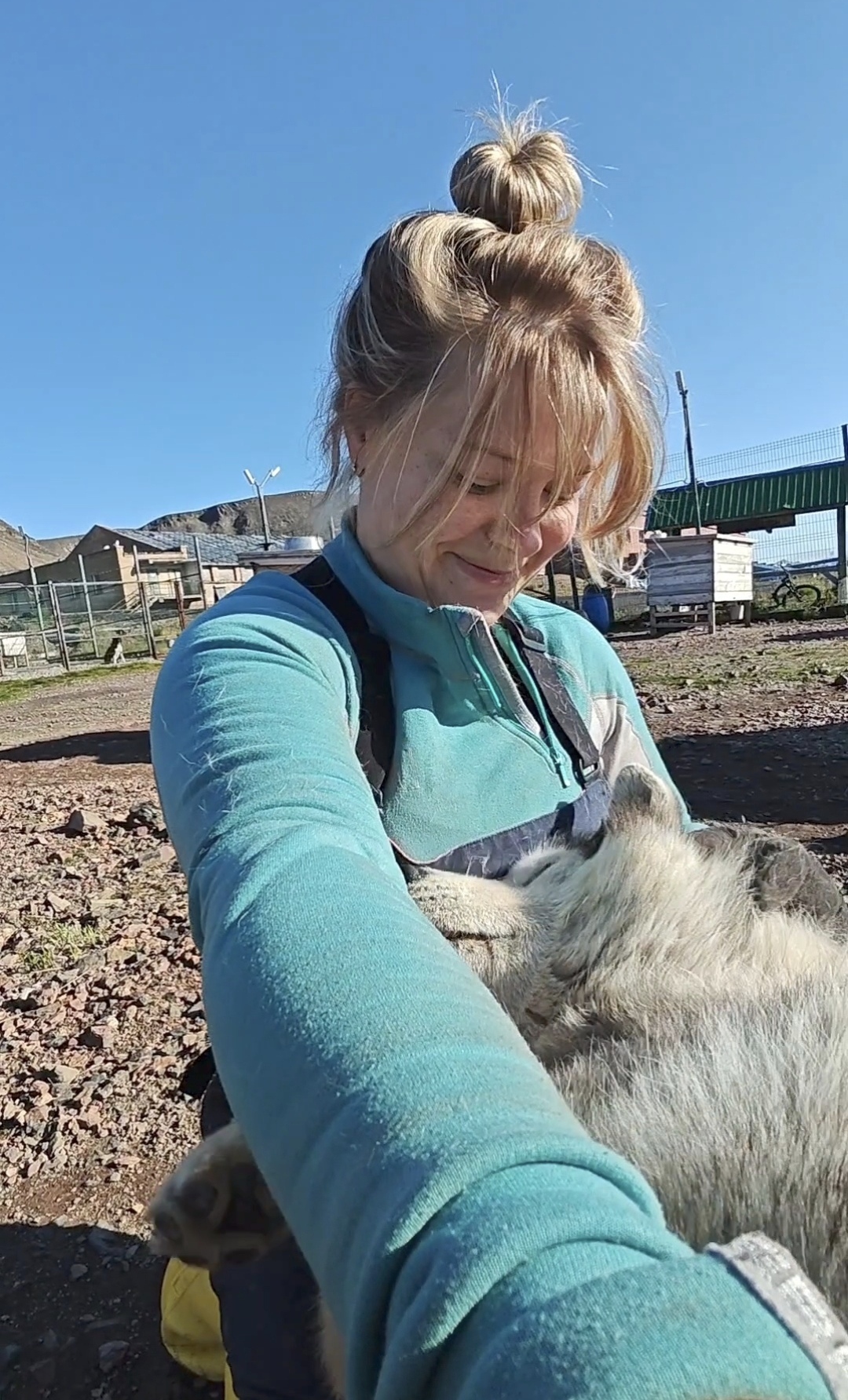 If you are not greeted like this when you come back from vacation, then I don’t know why you go to work))) - My, Dog, Spitsbergen, Longpost, The photo